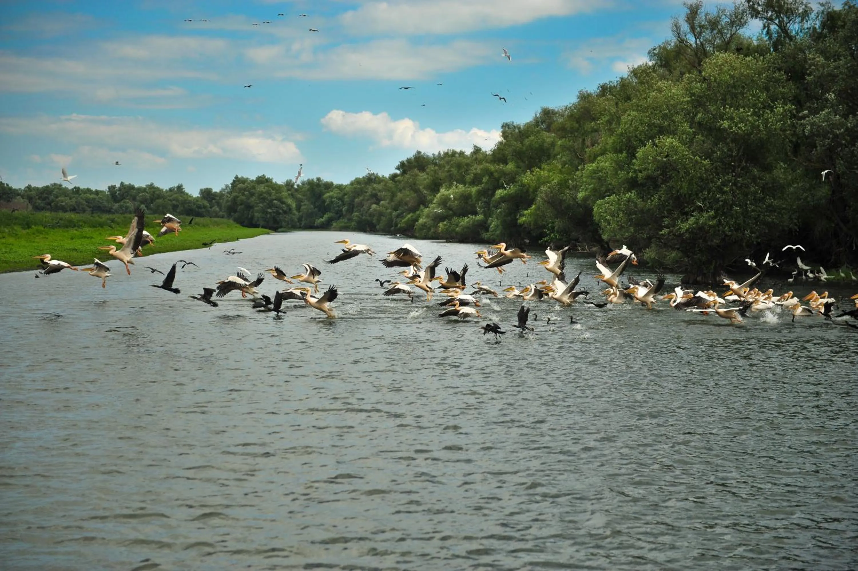 Facade/entrance in Hotel Delta 3