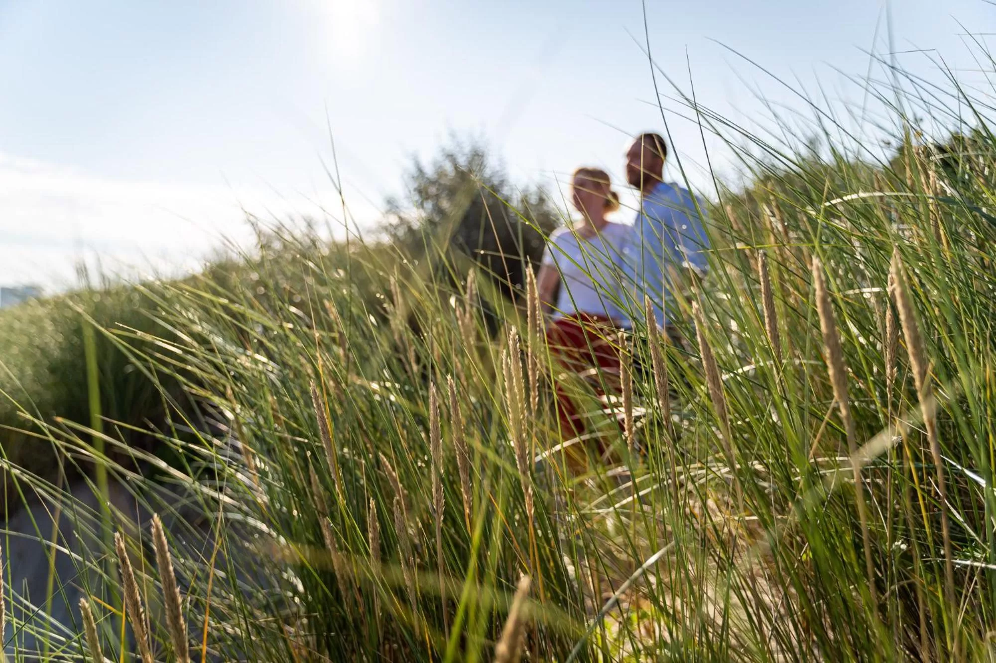 Activities in Strandhafer Aparthotel