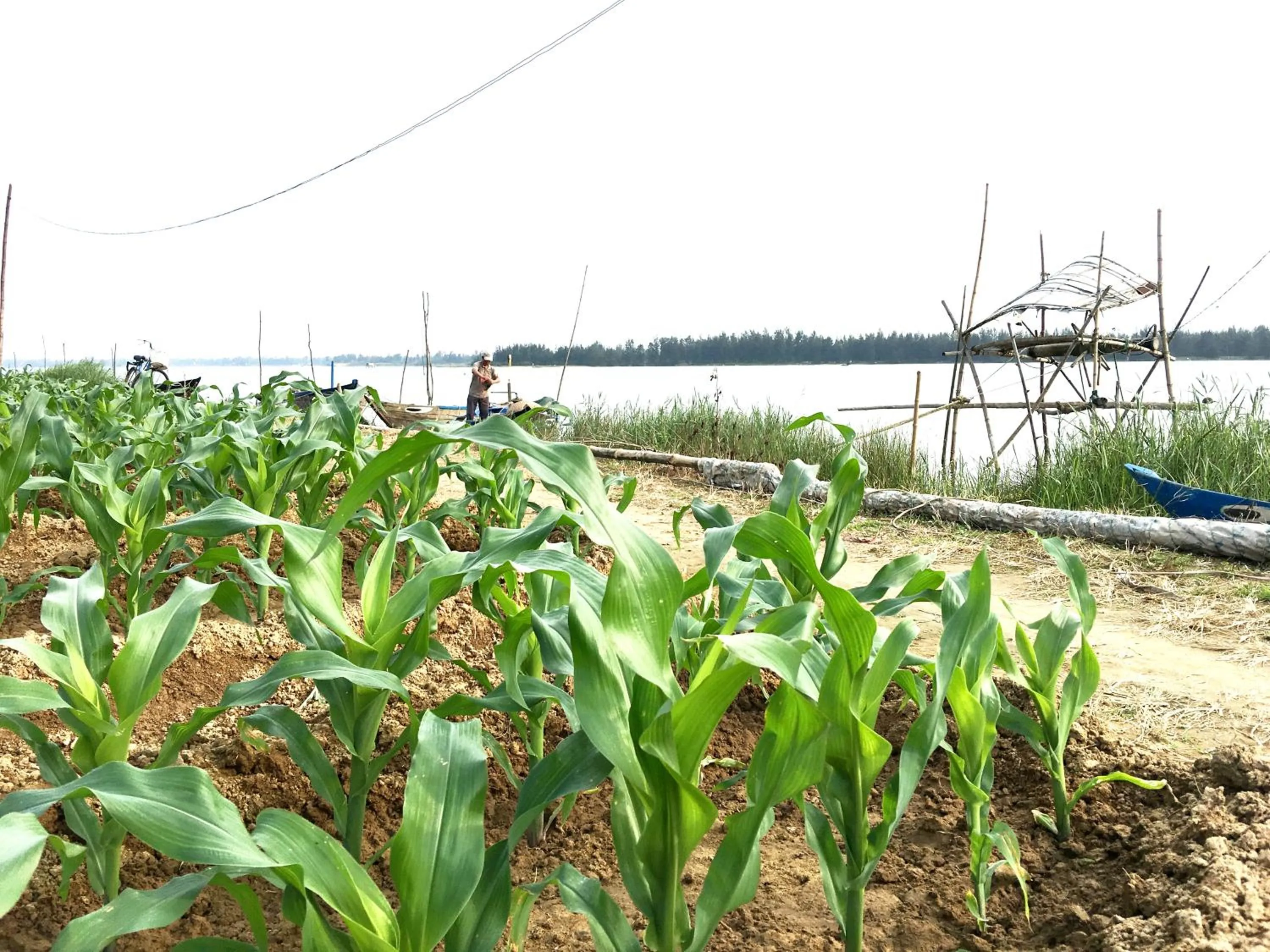 Property building in Riverside Hamlet Homestay & Villa