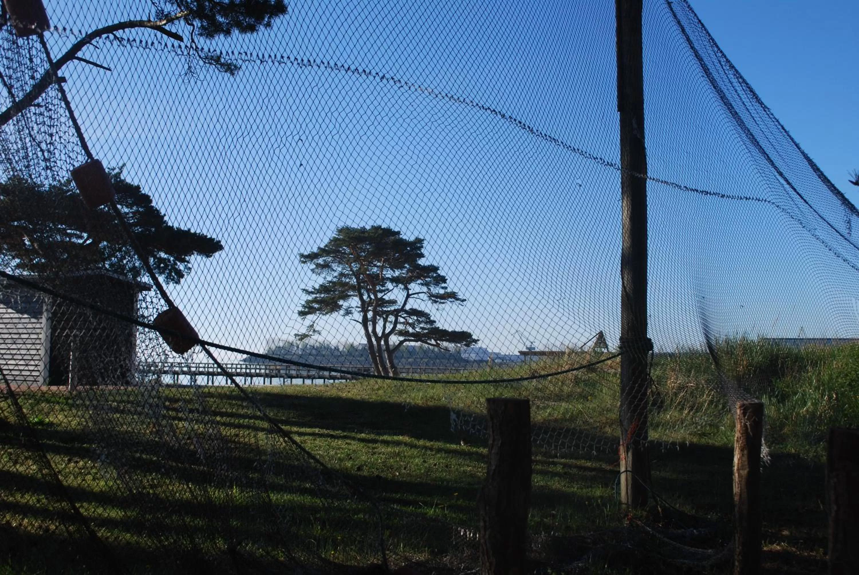 Nearby landmark in Åhus B&B och Vandrarhem