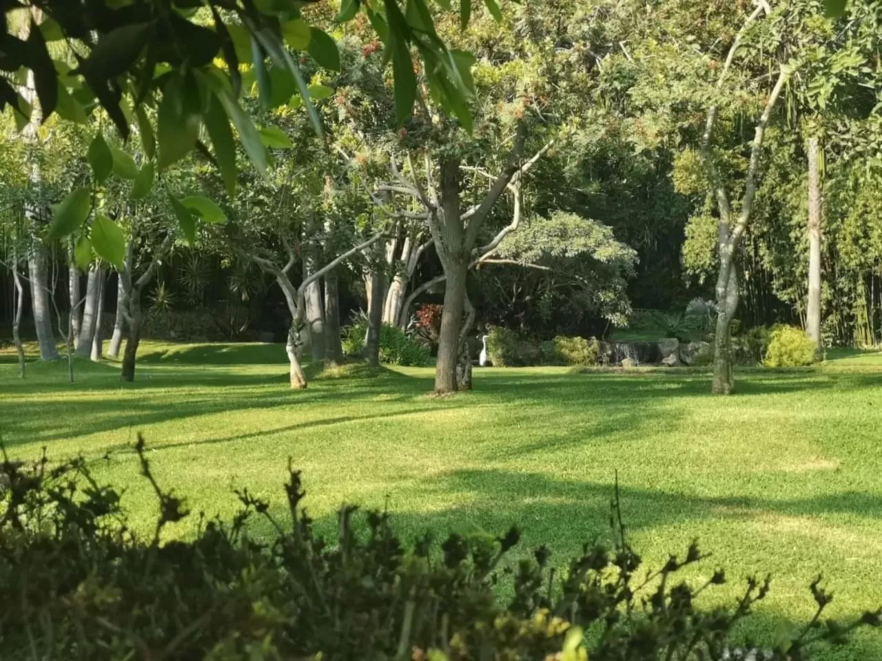 Garden in Huayacán Cuernavaca Curamoria Collection