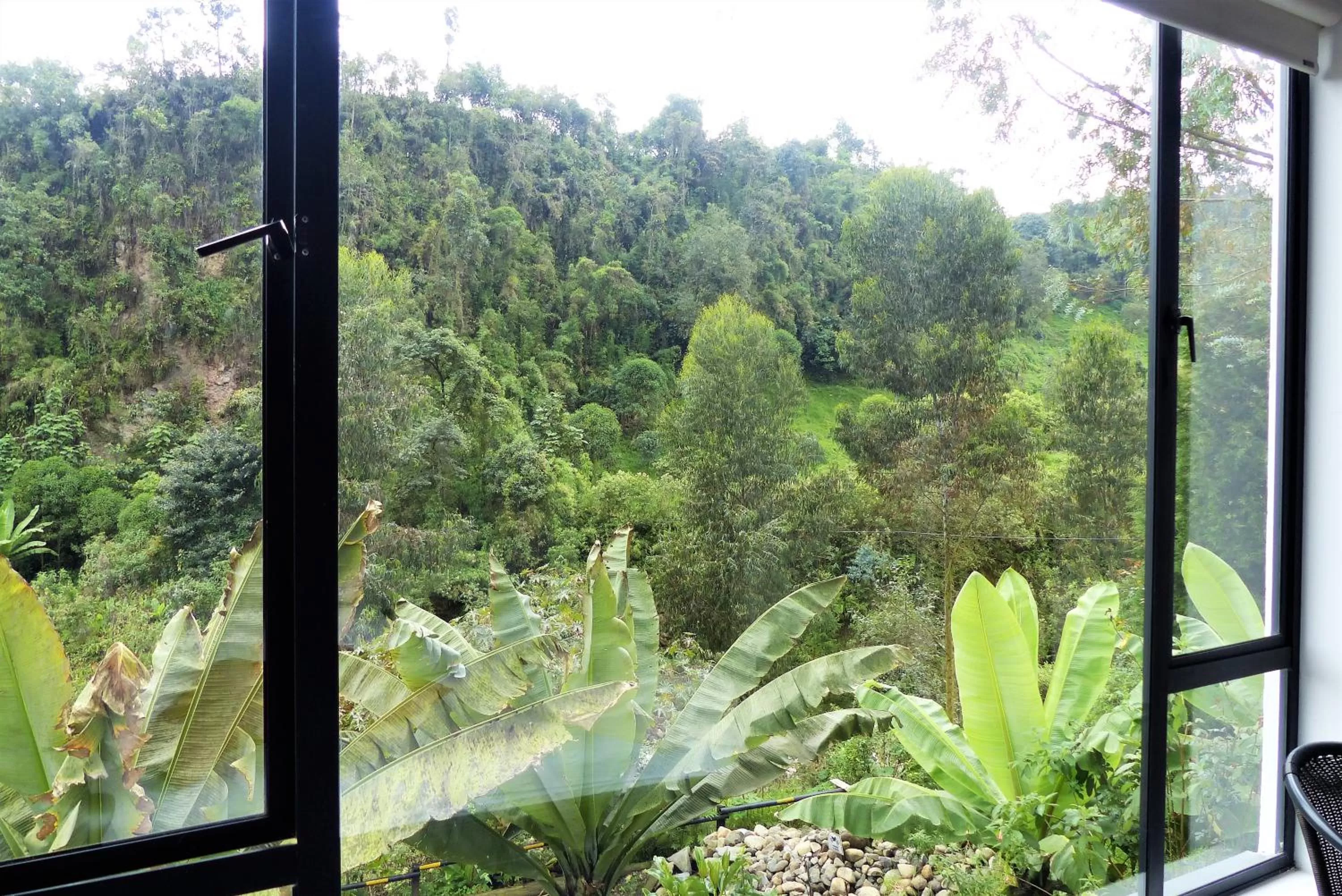 Off site in Hotel Termales Tierra Viva