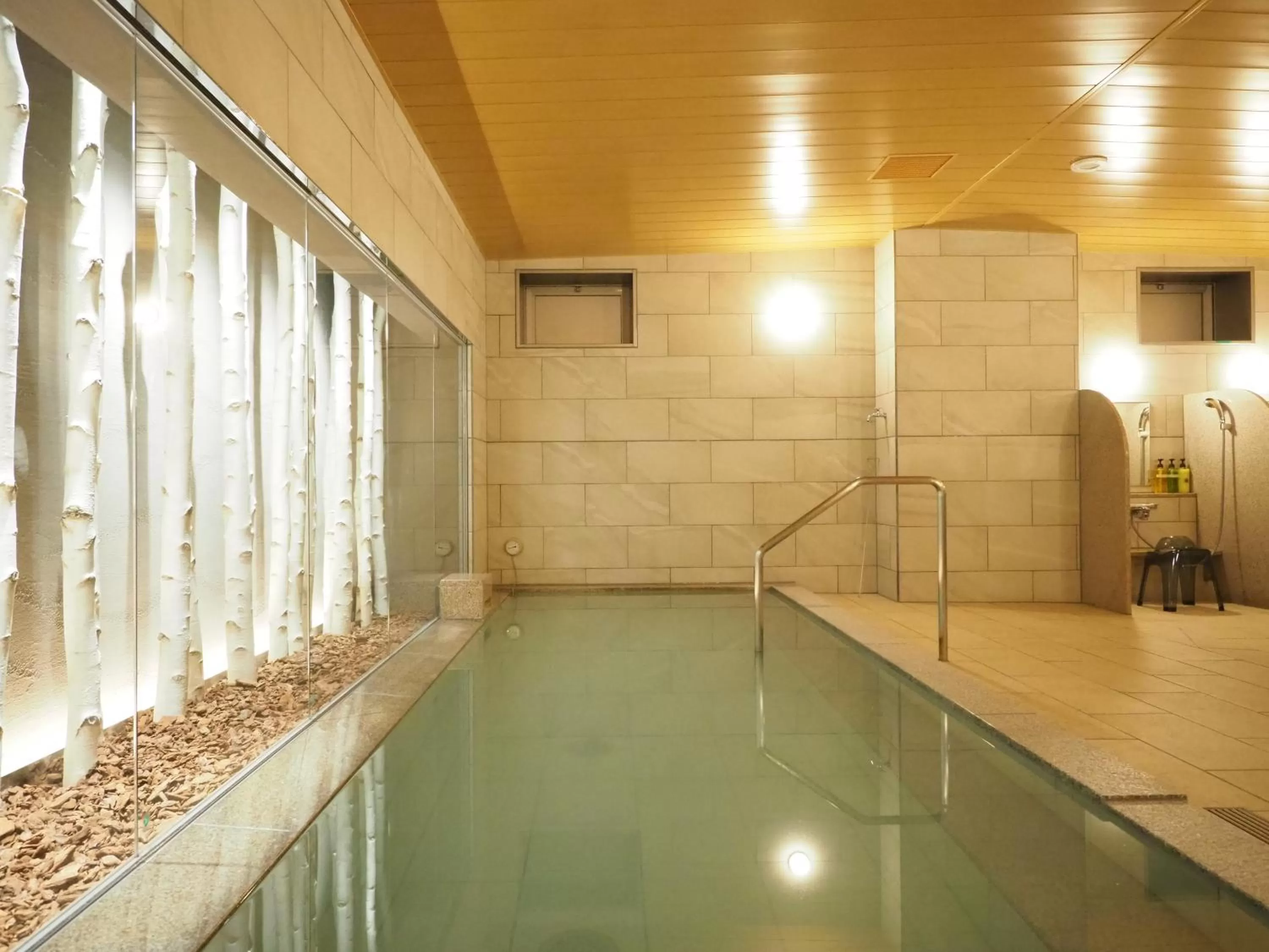 Public Bath in Tabino Hotel lit Matsumoto Milky white Onsen