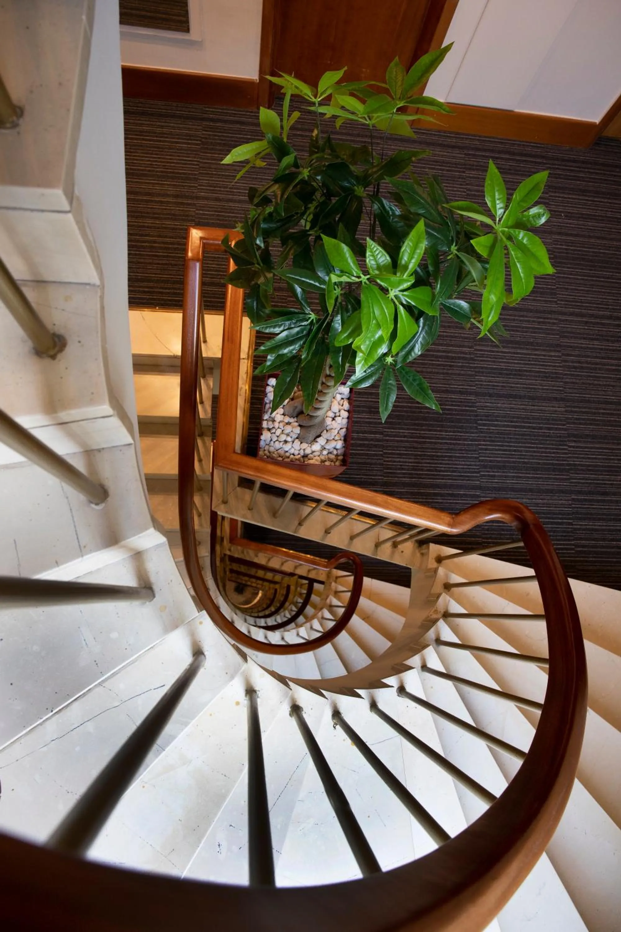 Other in Ilisia Hotel Athens