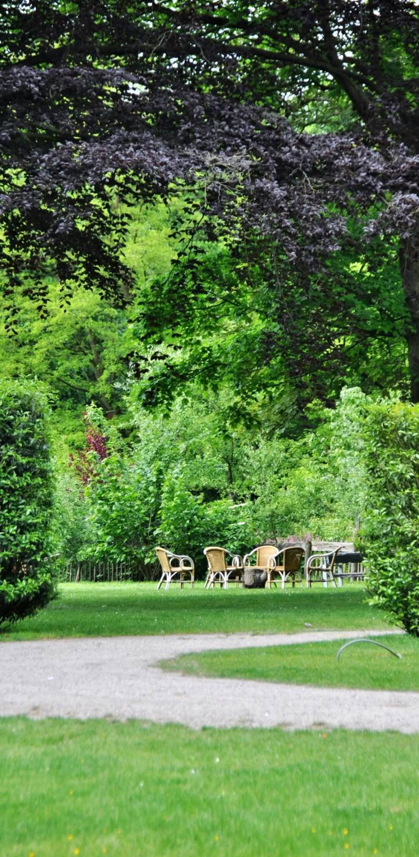 Garden in Klooster Nieuwkerk Goirle