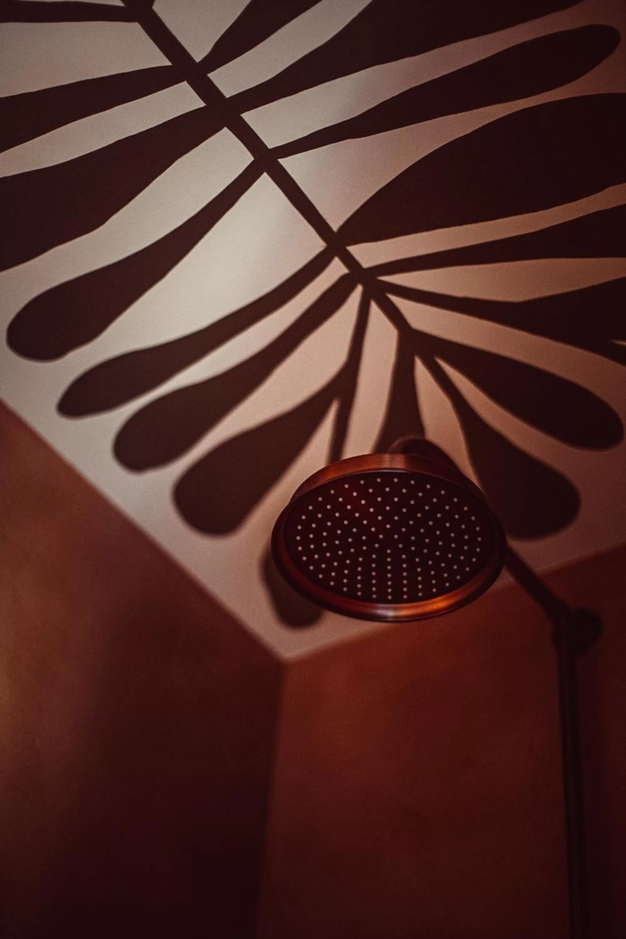 Shower in Babel Belleville