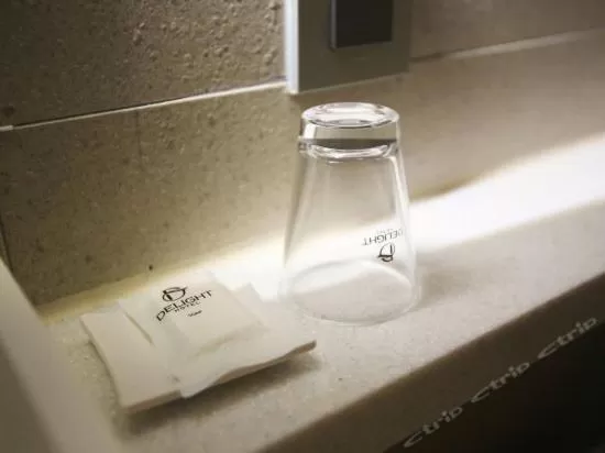 Delight Hotel Jamsil