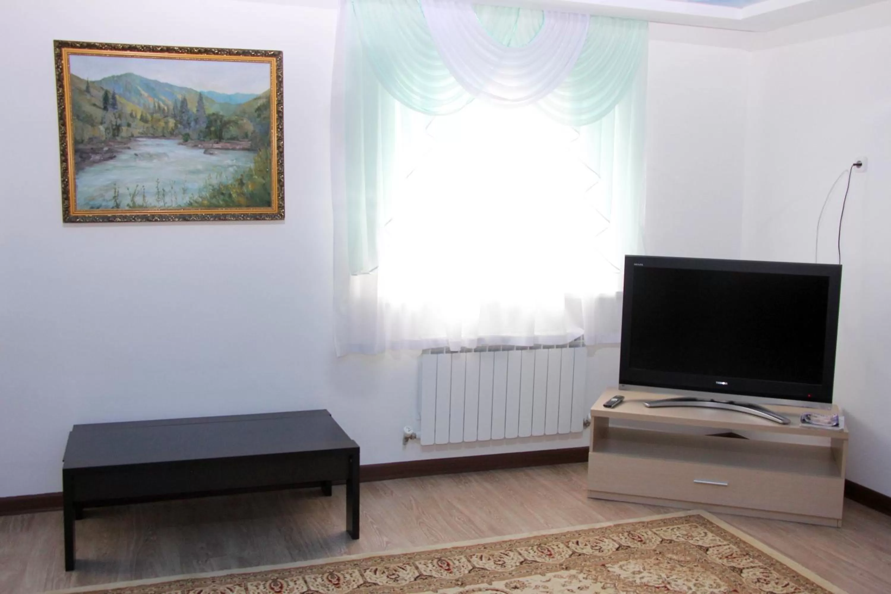 TV/Entertainment Center in Zhaylau Hotel
