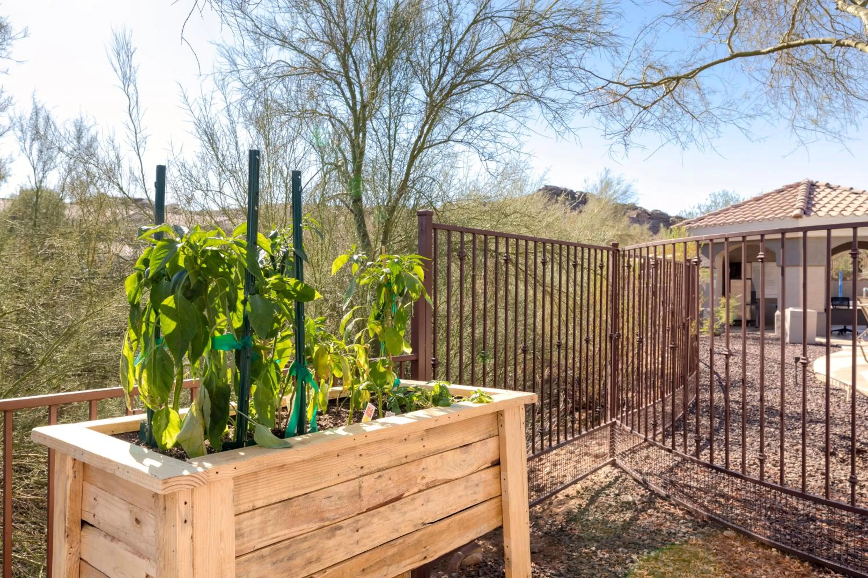 View (from property/room) in Raintree at Phoenix South Mountain Preserve
