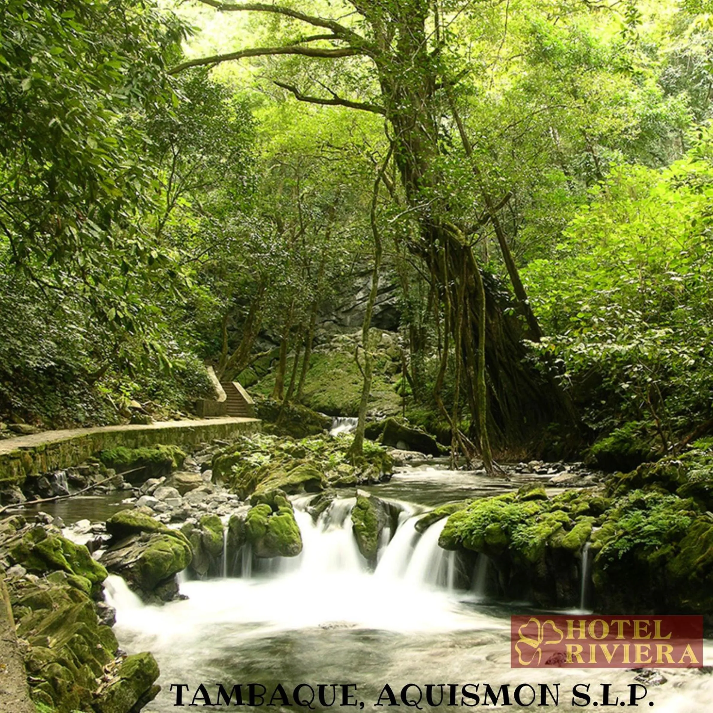 Natural landscape in Hotel Riviera