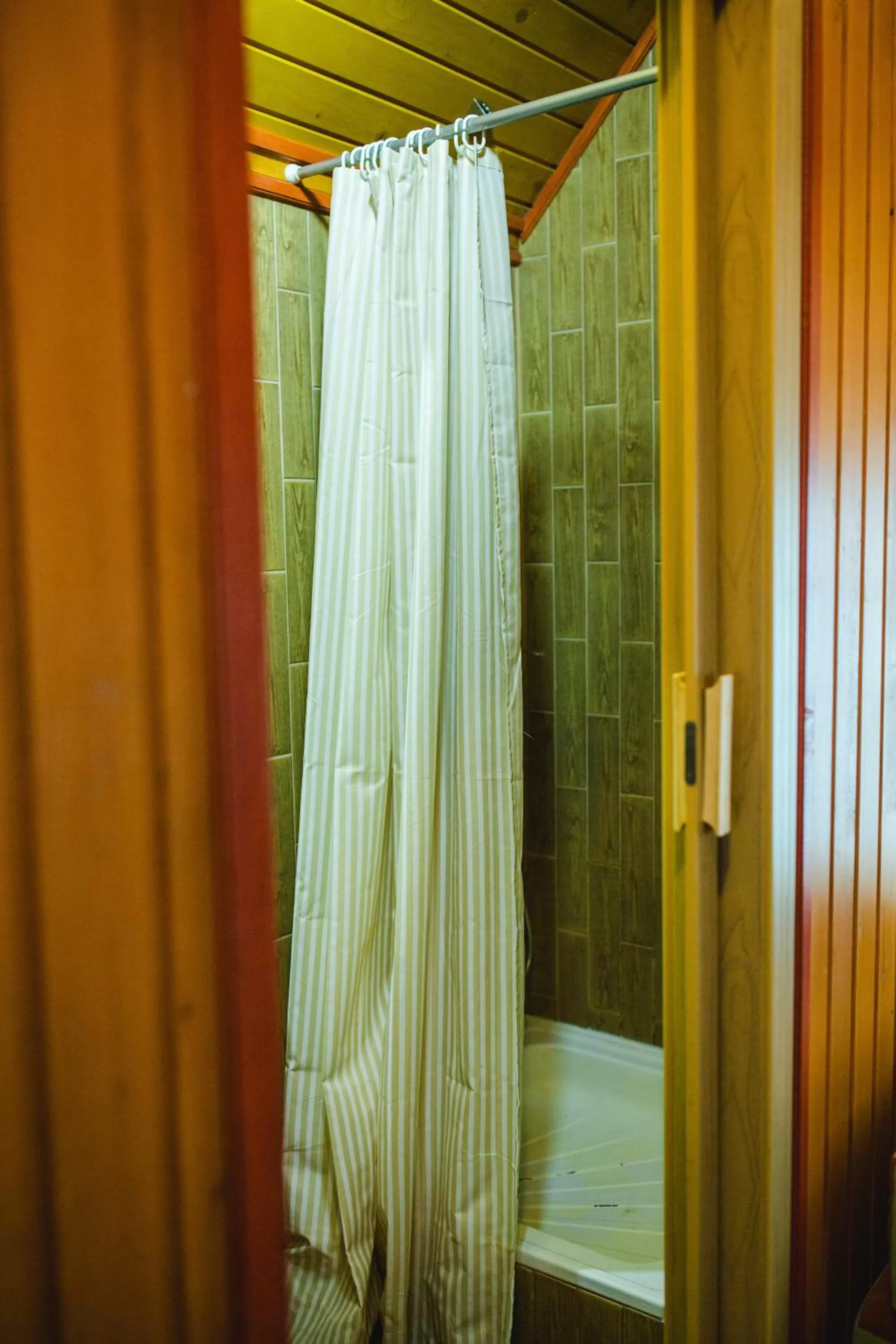 Shower, Bathroom in Kolyba Opryshkiv