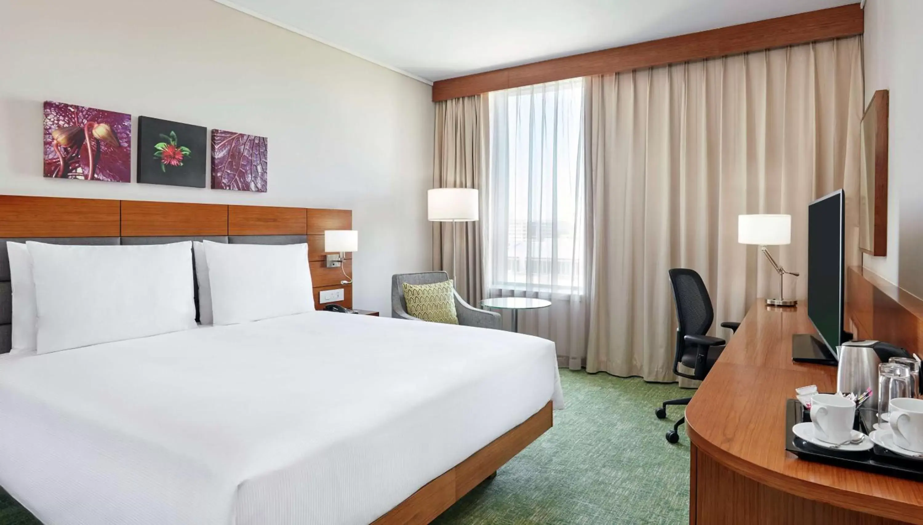 Family Suite in Hilton Garden Inn Gaborone, Botswana Family Suite in Hilton Garden Inn Gaborone, Botswana