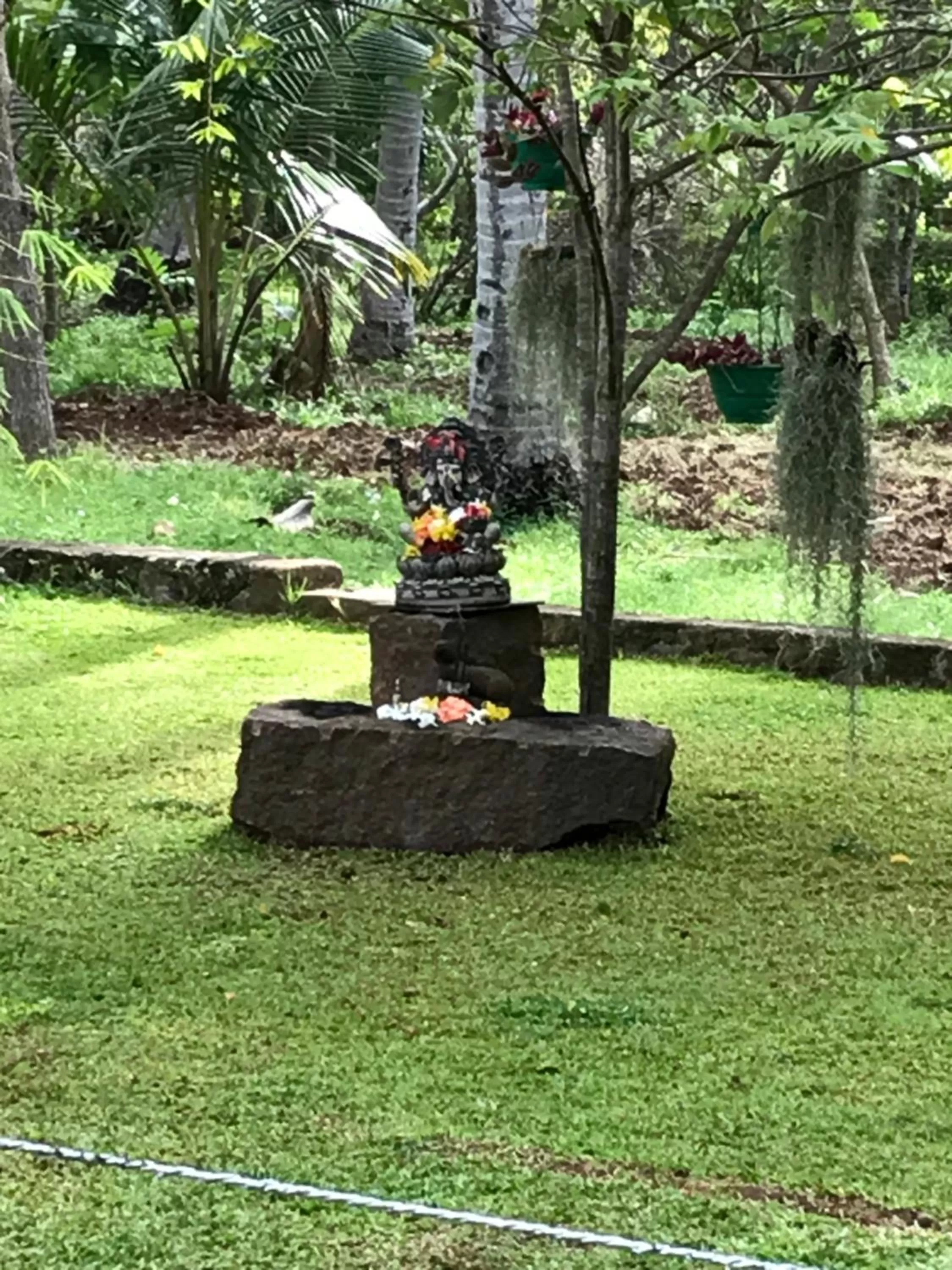 Garden in Hotel Heladiv
