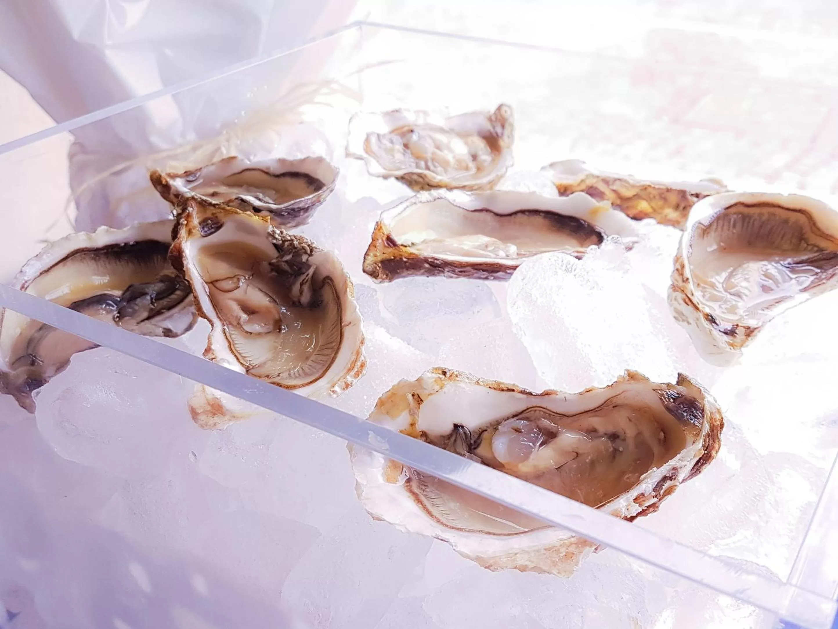 Food close-up in Fly Decó Hotel