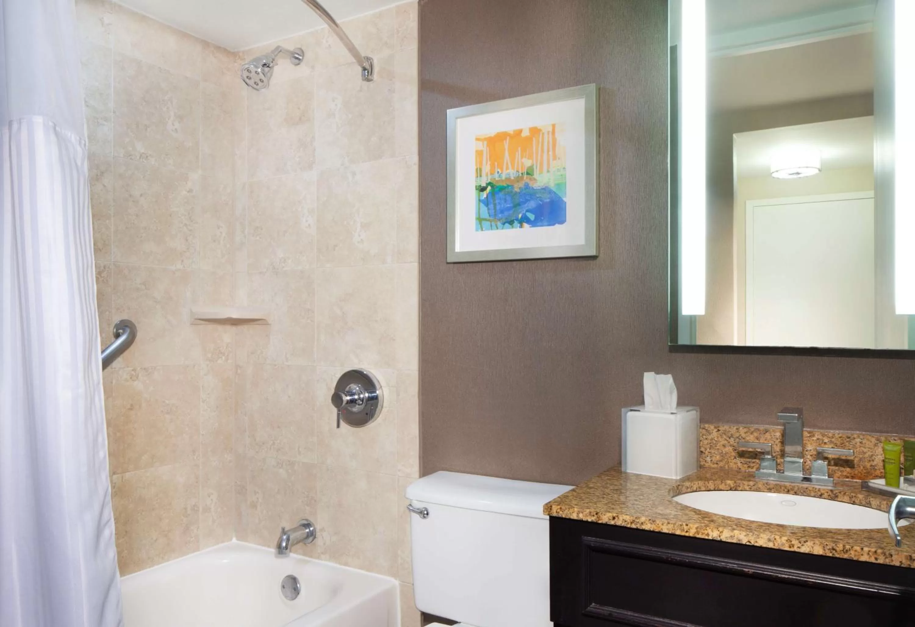 Bathroom in Hilton St. Petersburg Bayfront