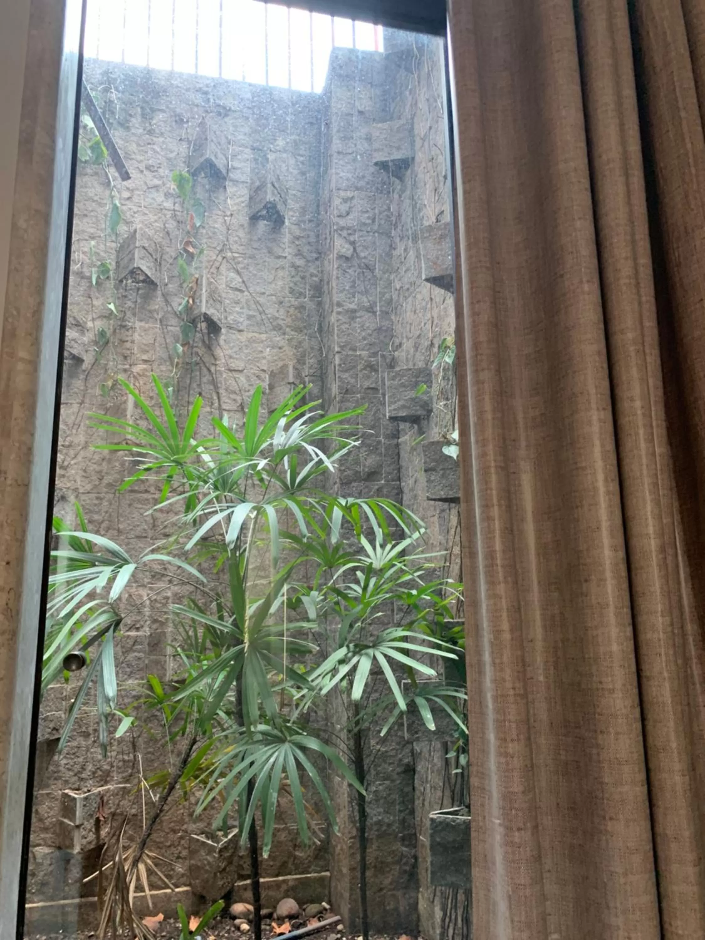 Garden view, View in SAMIR HOTEL COMFORT