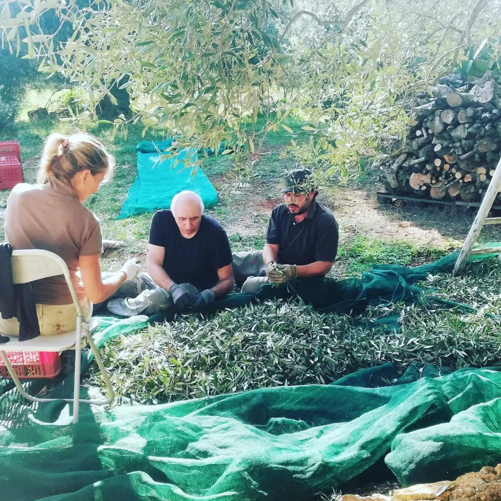 Garden in B&B Giovannarolla Green House