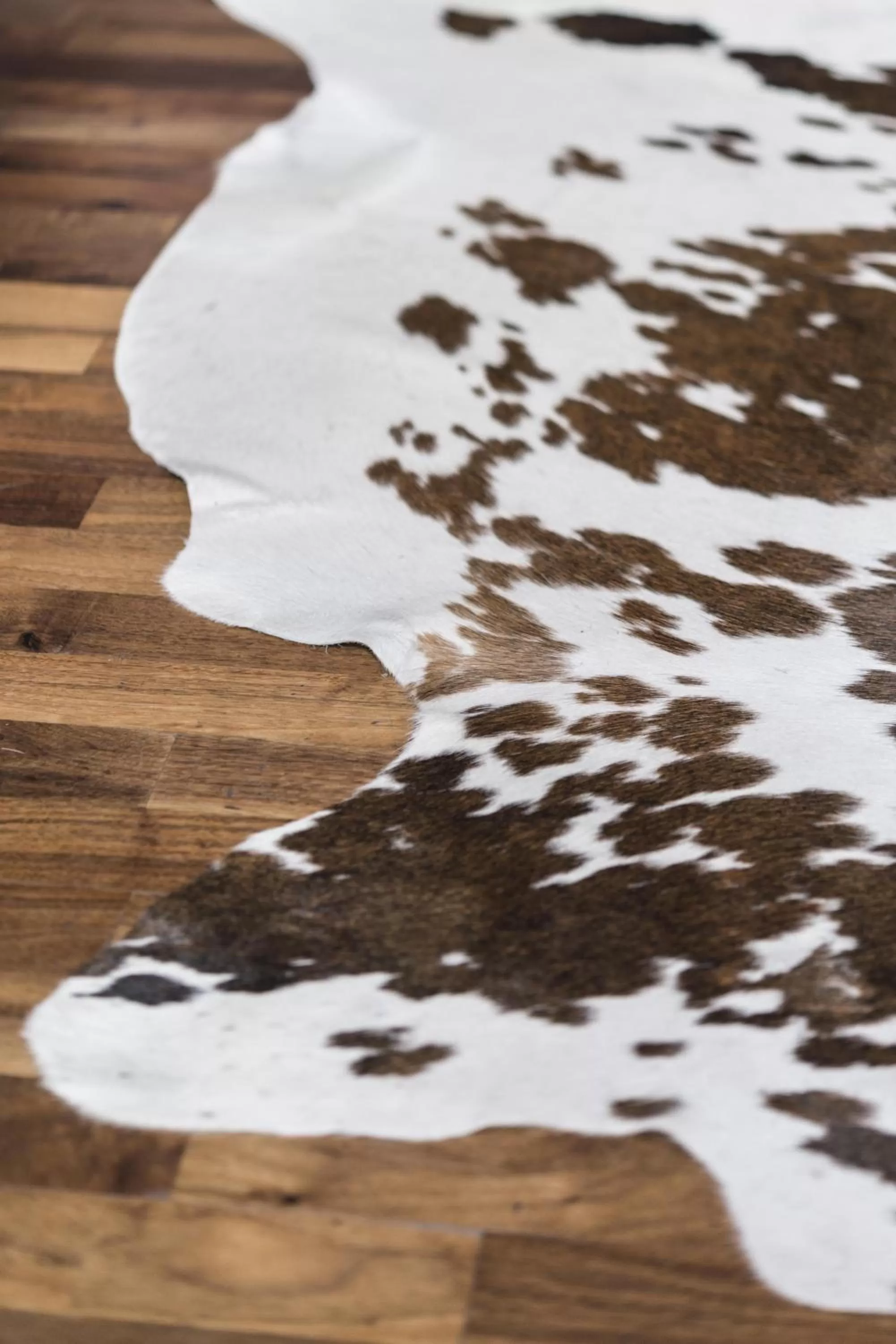 Decorative detail in Angels Share Hotel