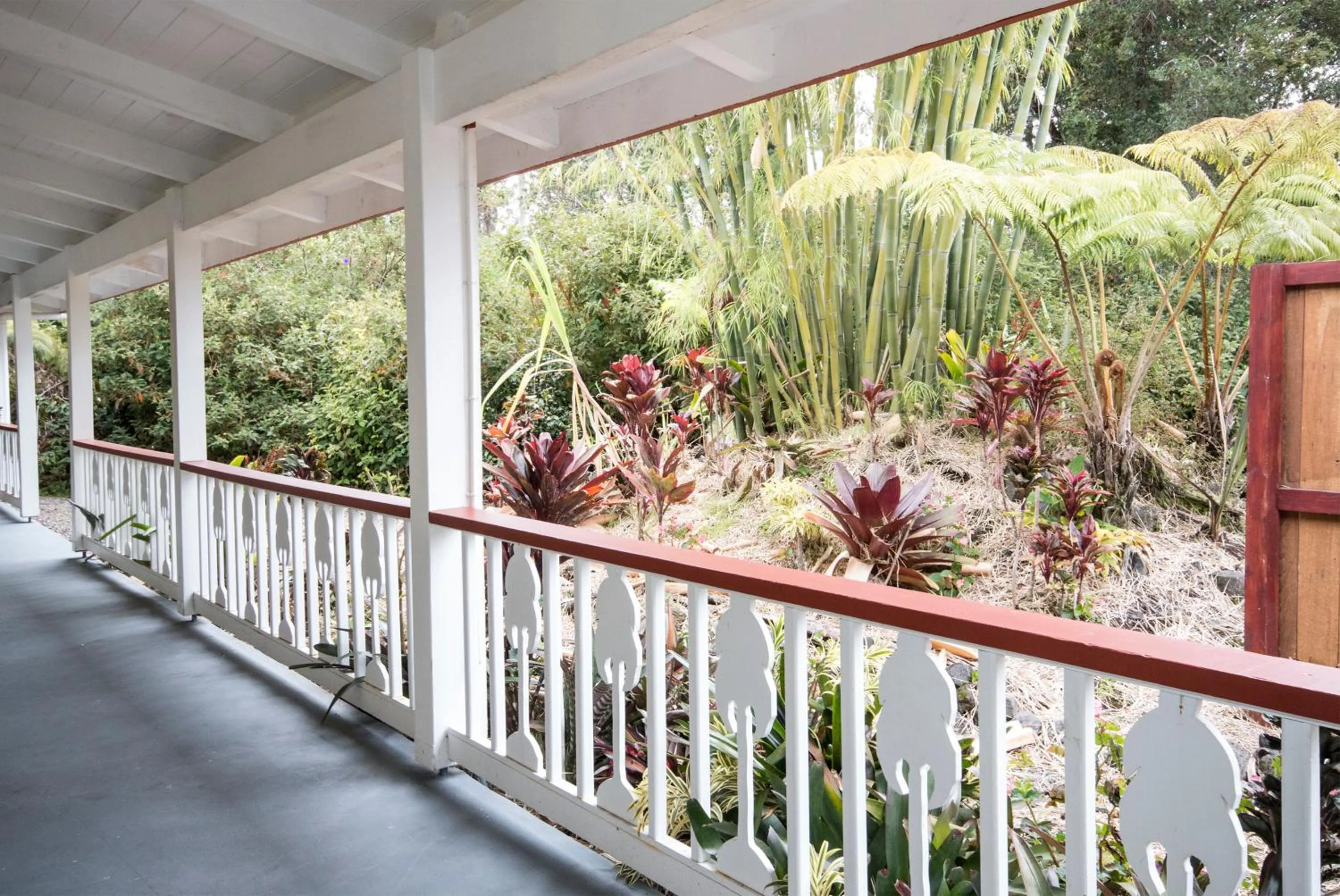 Garden view in Lokahi Lodge