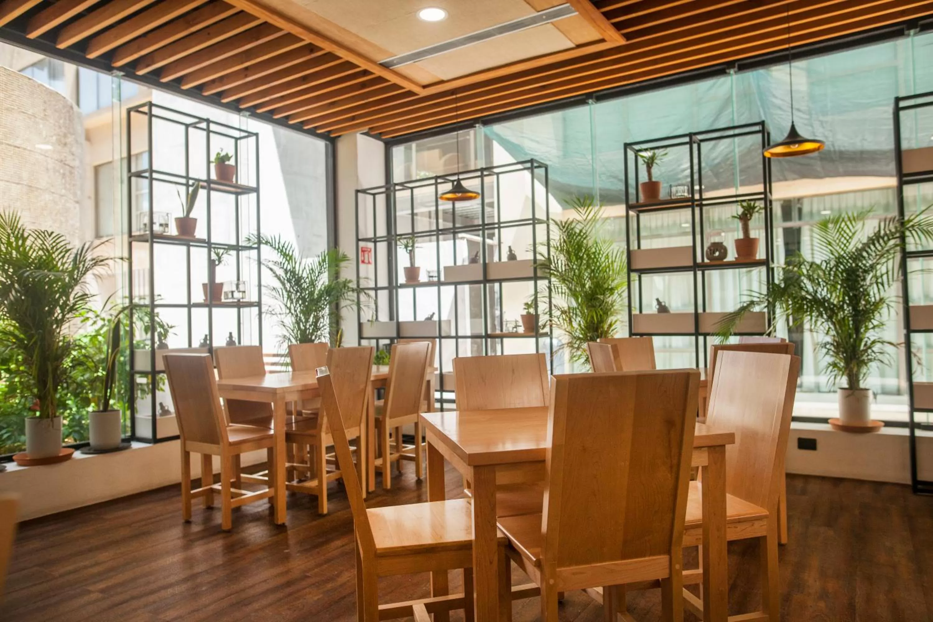 Restaurant/places to eat in Wyndham Garden Cancun Downtown