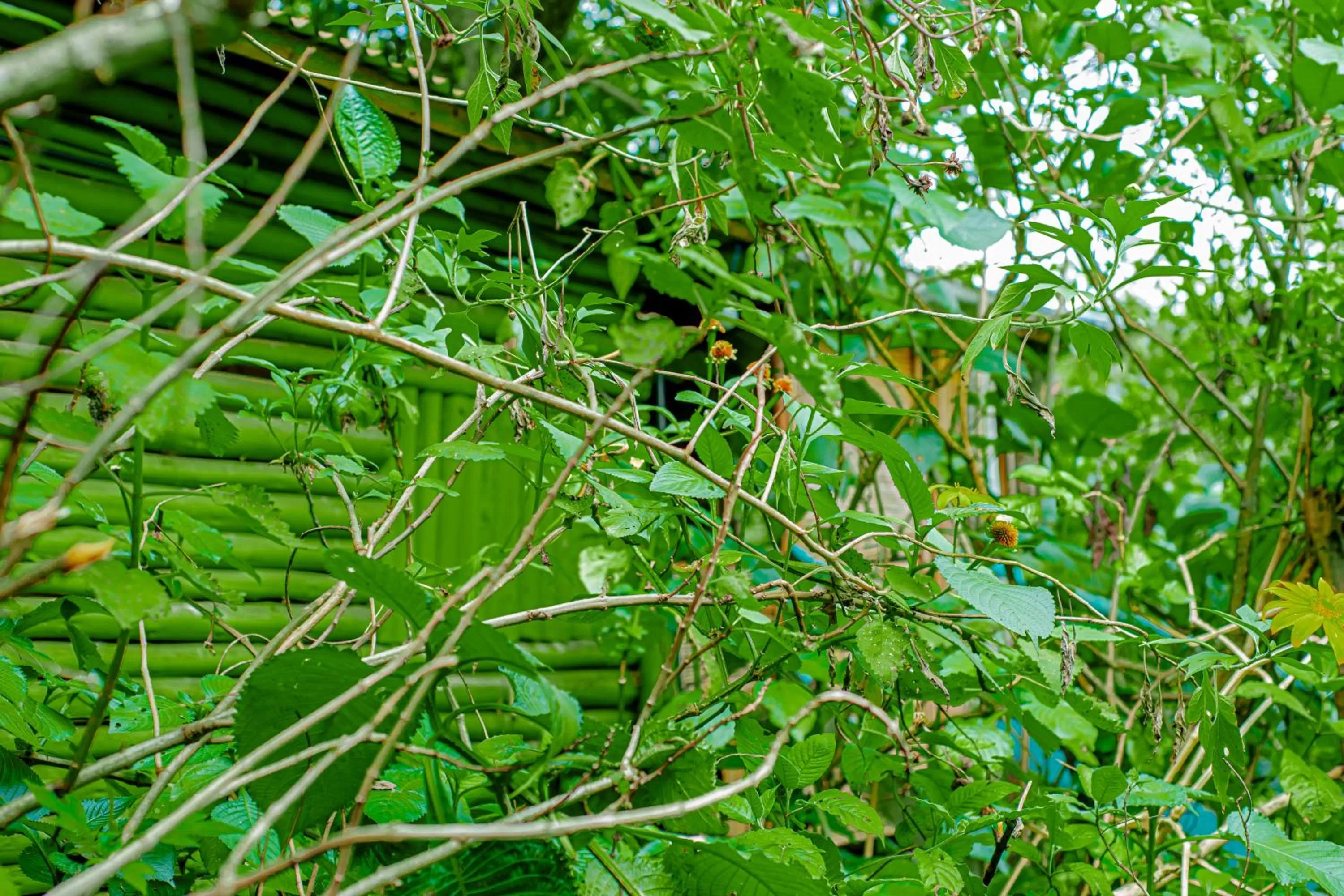 Day in Fravan Eco Resort By Apogee