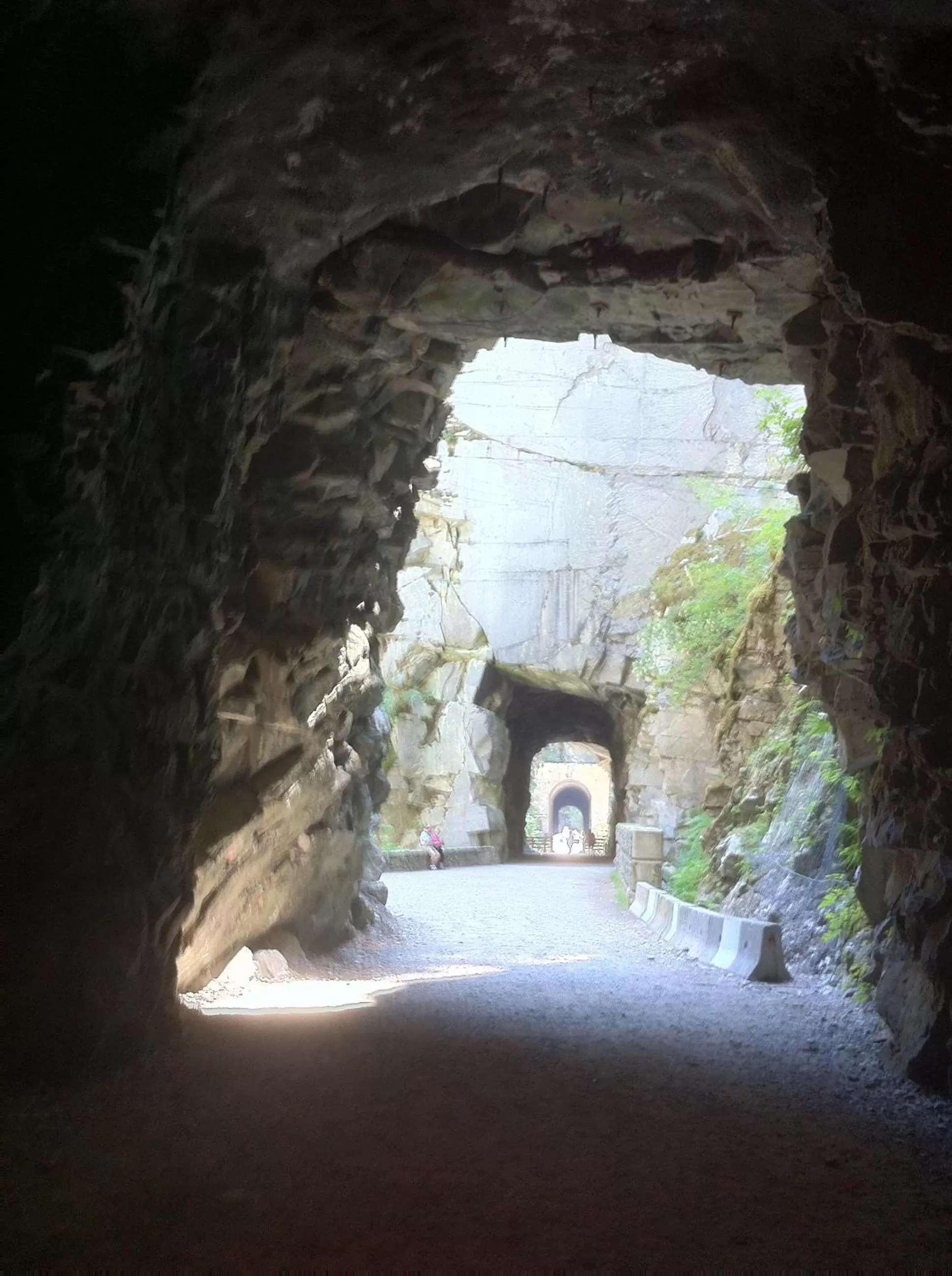 Hiking in Evergreen Bed & Breakfast