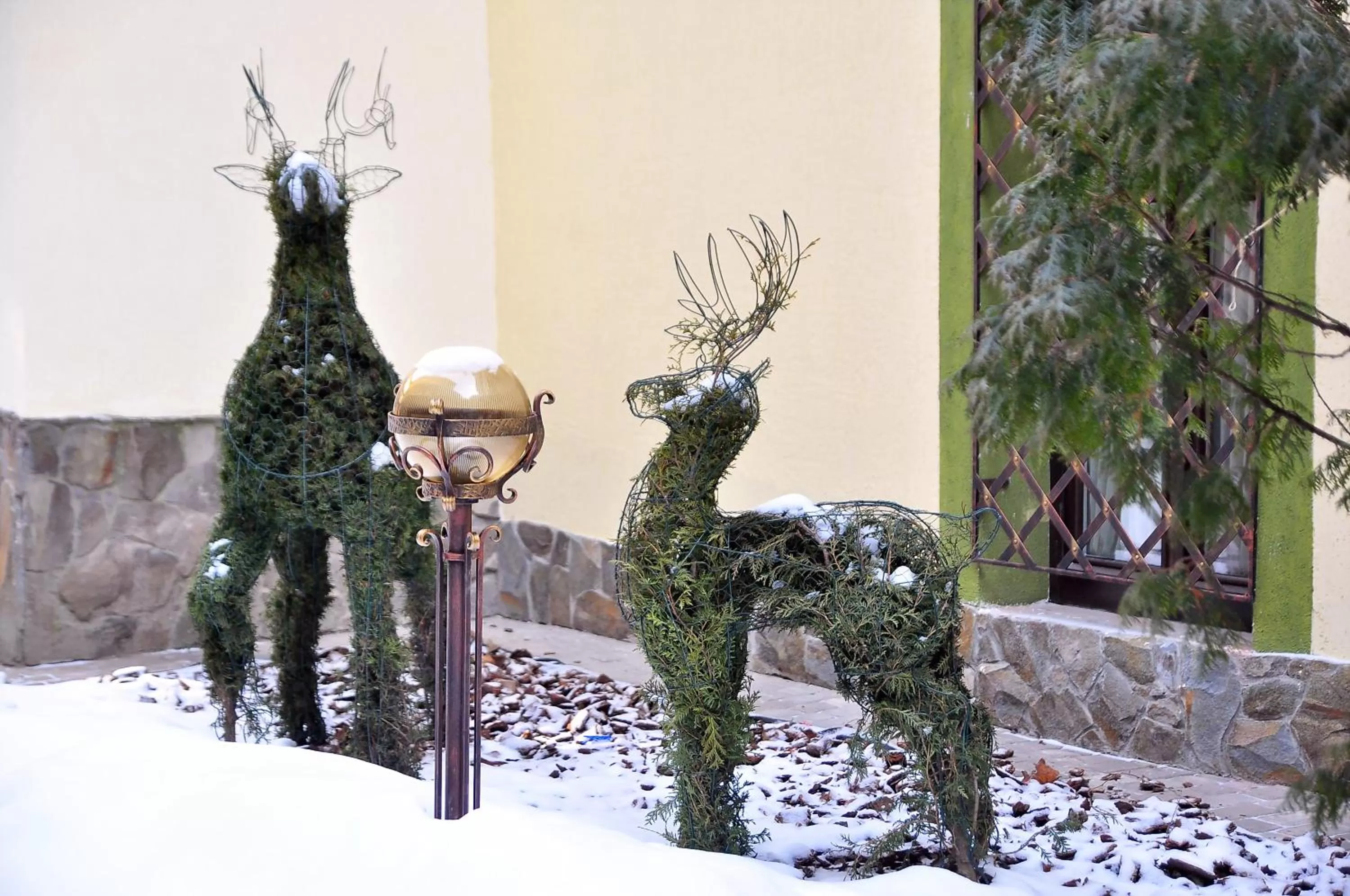 Winter in Staryi Krakiv