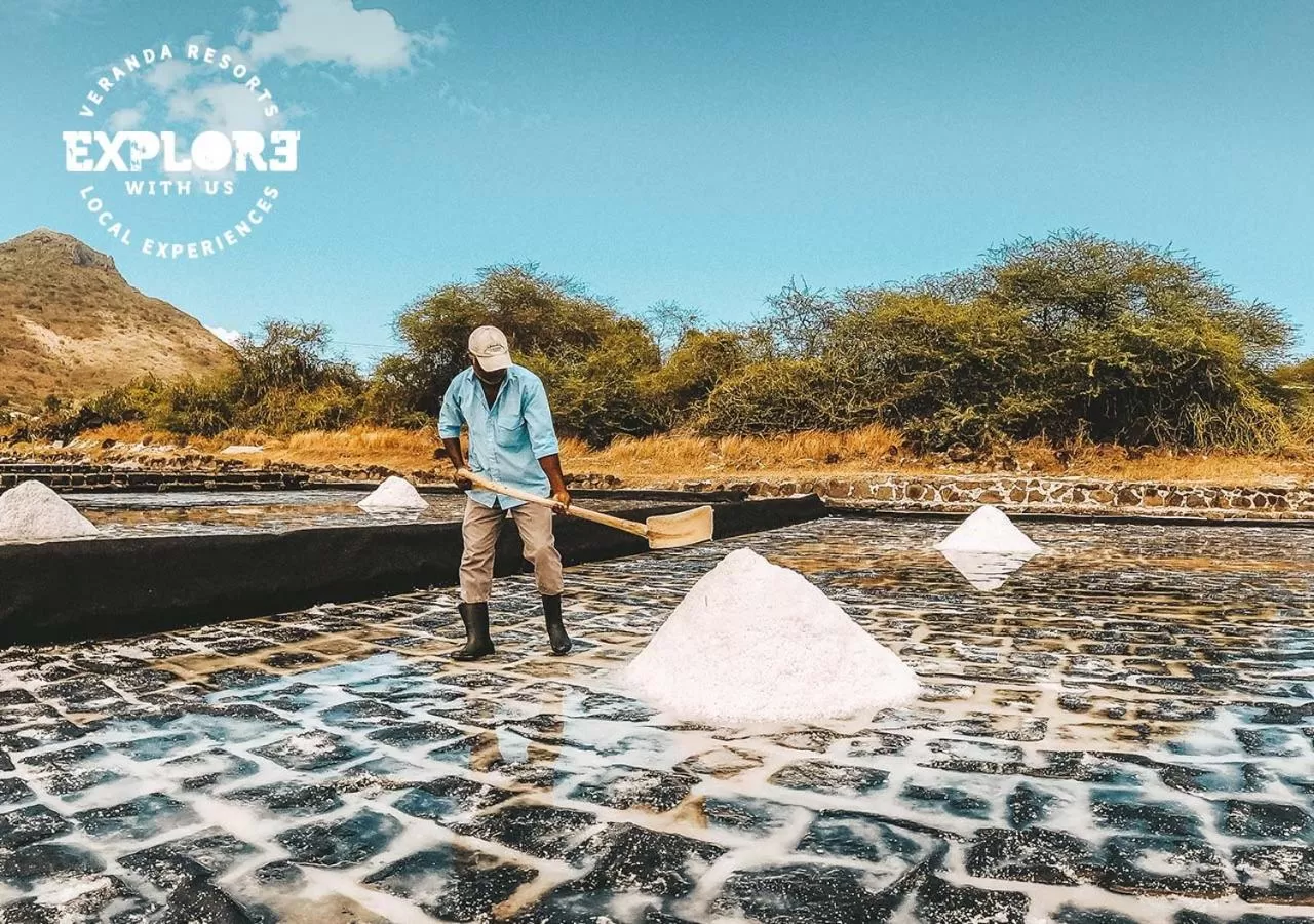 Activities in Veranda Tamarin Hotel & Spa