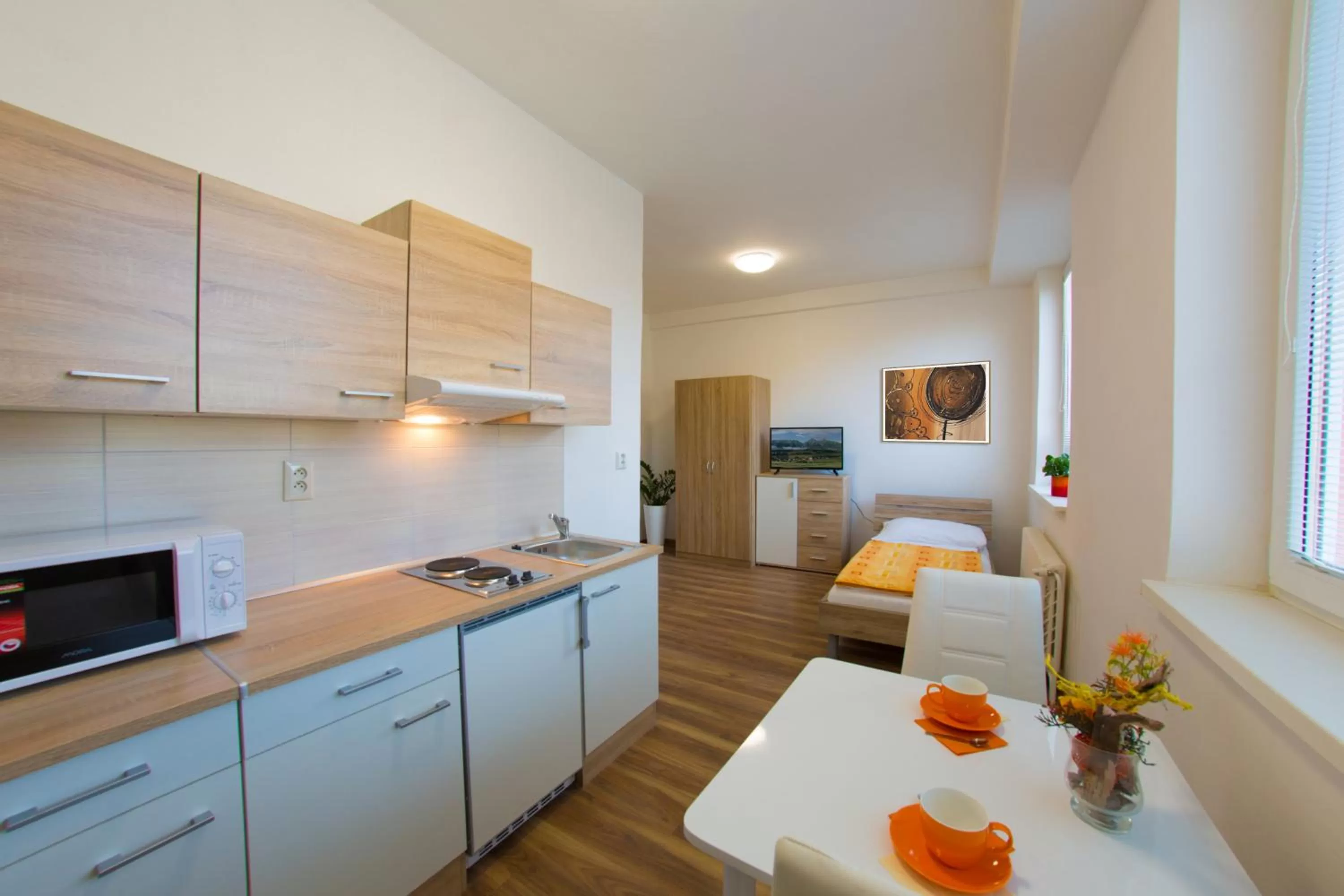 Photo of the whole room, Kitchen/Kitchenette in Agro Complex Apartments