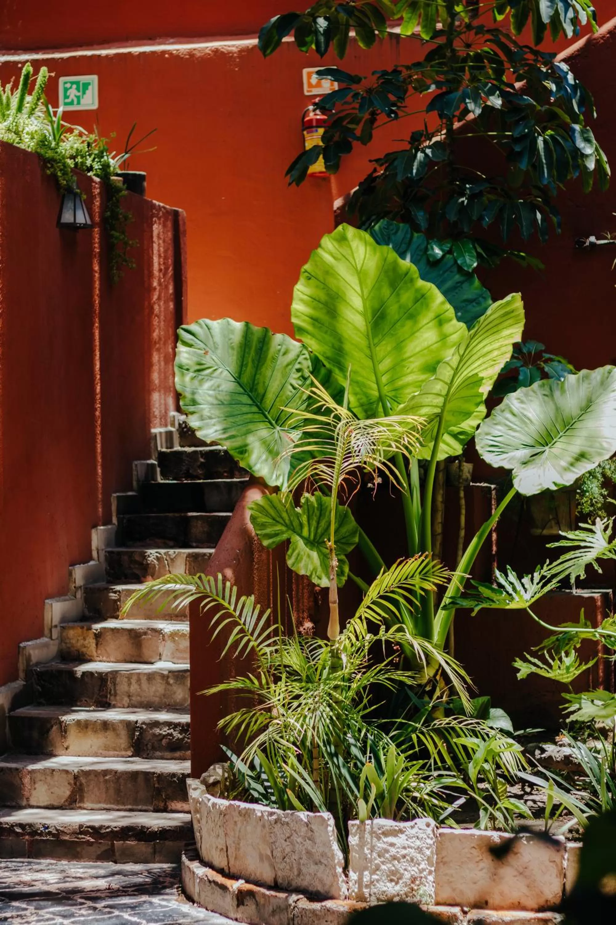 Day in Casa Luna Hotel Boutique