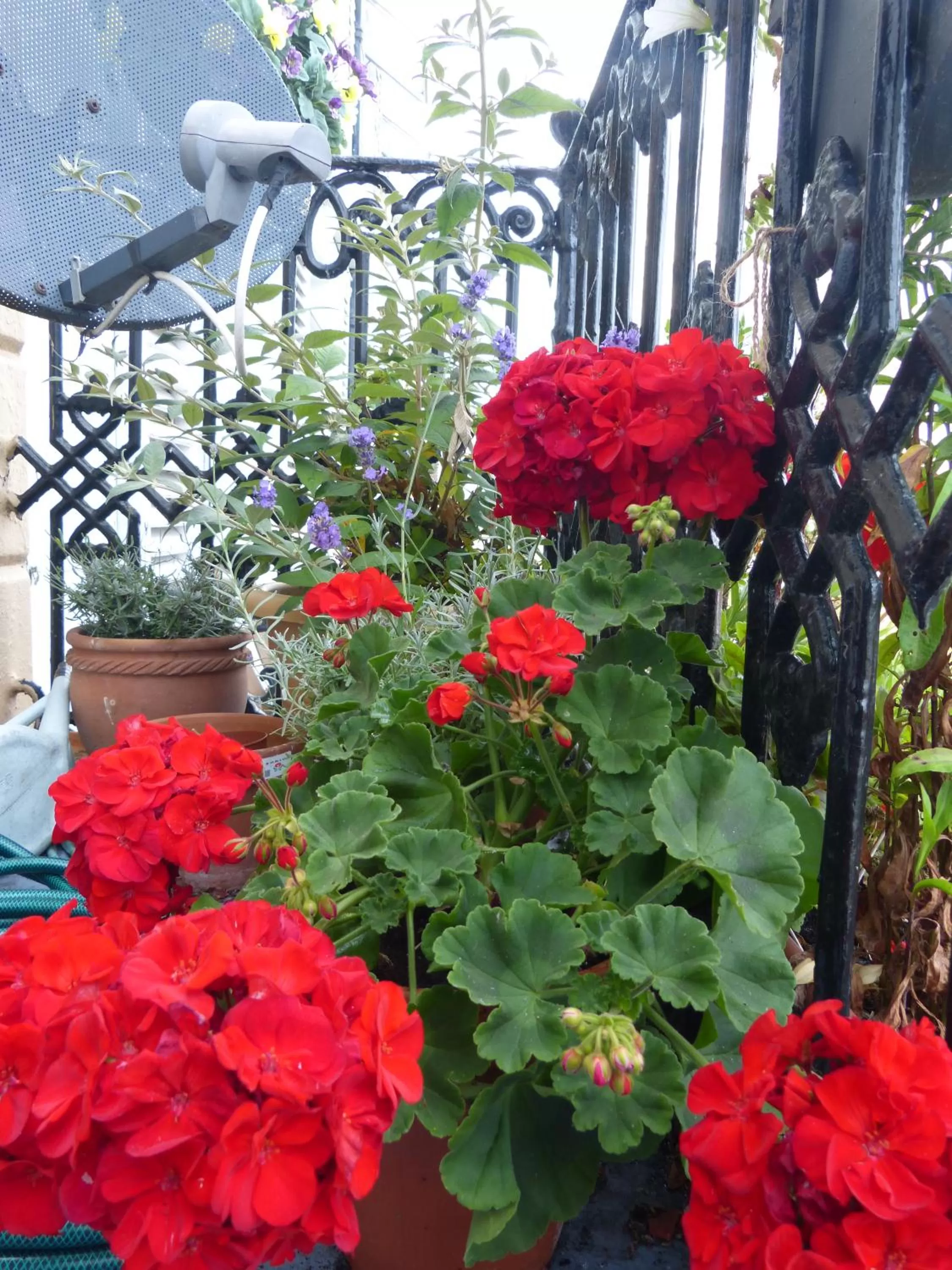 Decorative detail in The Iverna