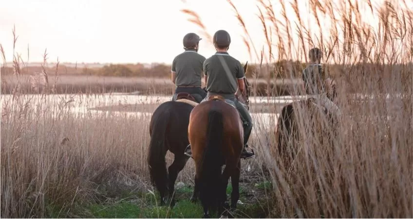 Horse-riding in Casa dos Pingos de Mel