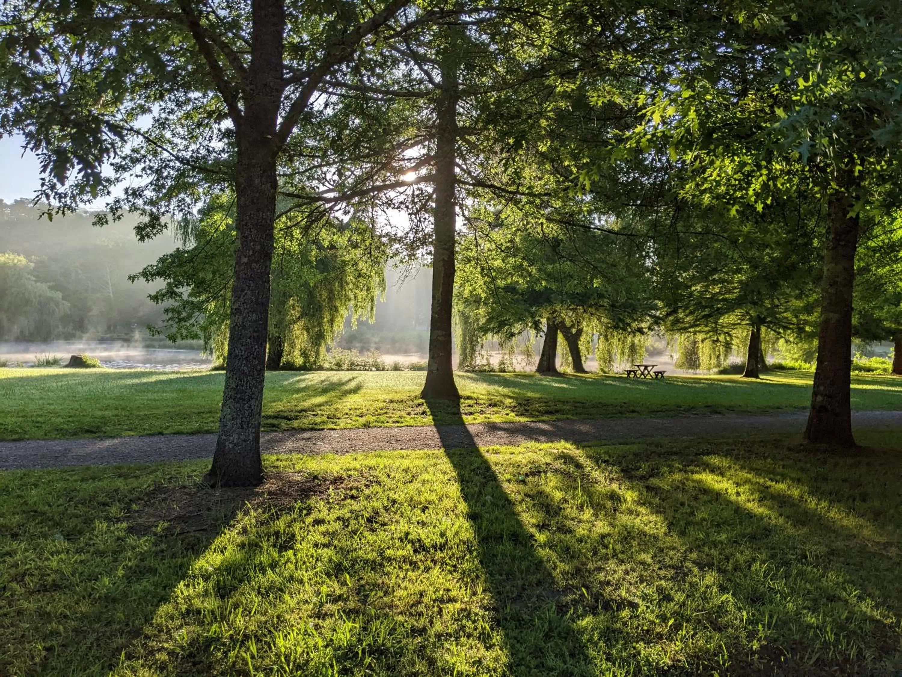 Natural landscape in Hôtel Studios Les Acacias