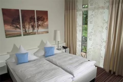 Double Room - single occupancy in Hotel Blauer Fasan