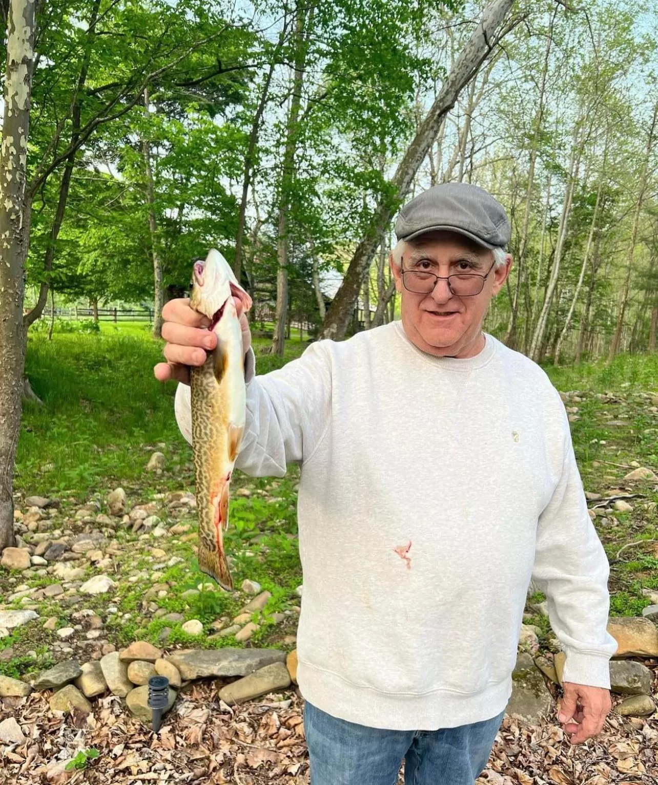 Laurel River Club Bed & Breakfast or LRCBNB