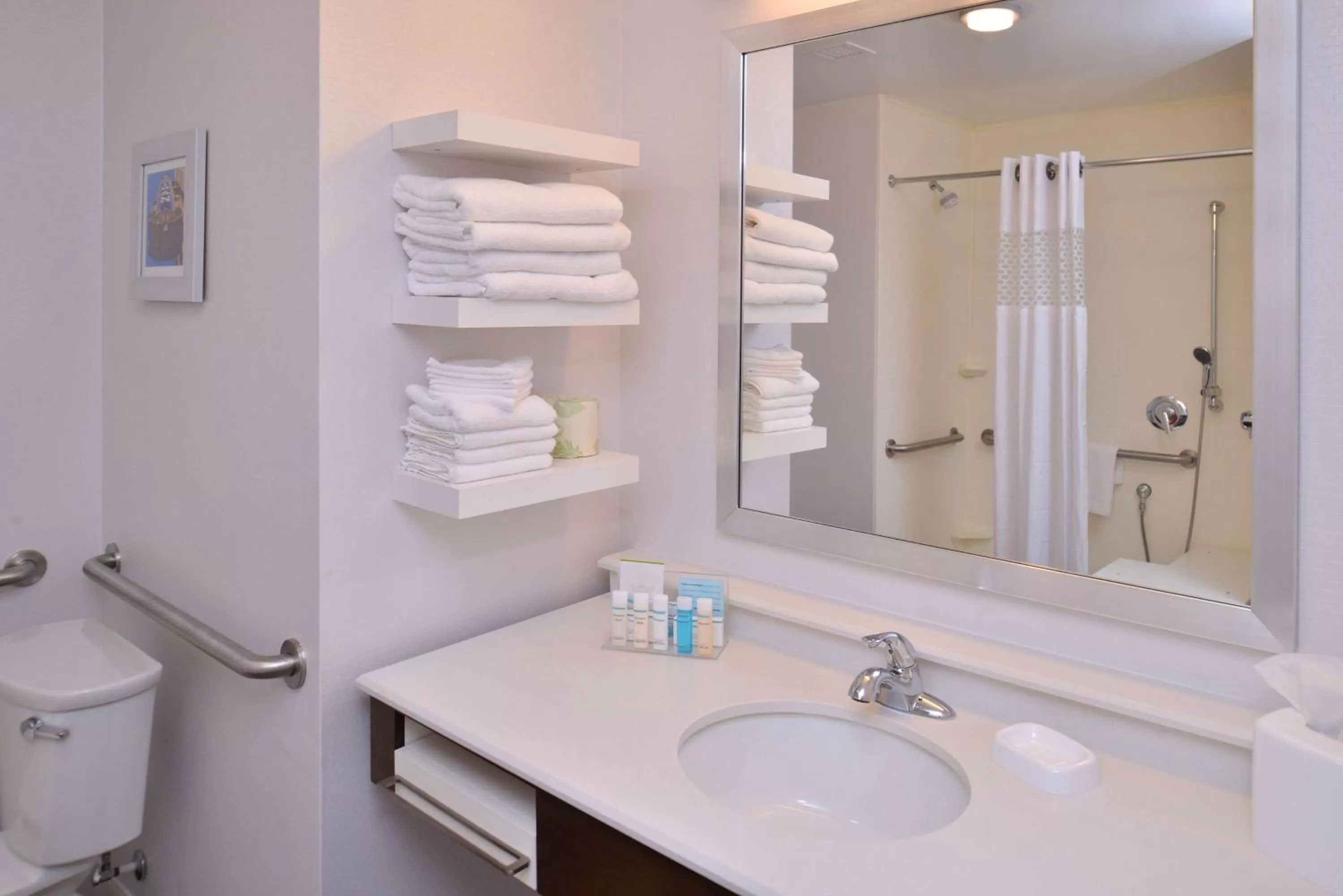 Bathroom in Hampton Inn & Suites Ann Arbor West