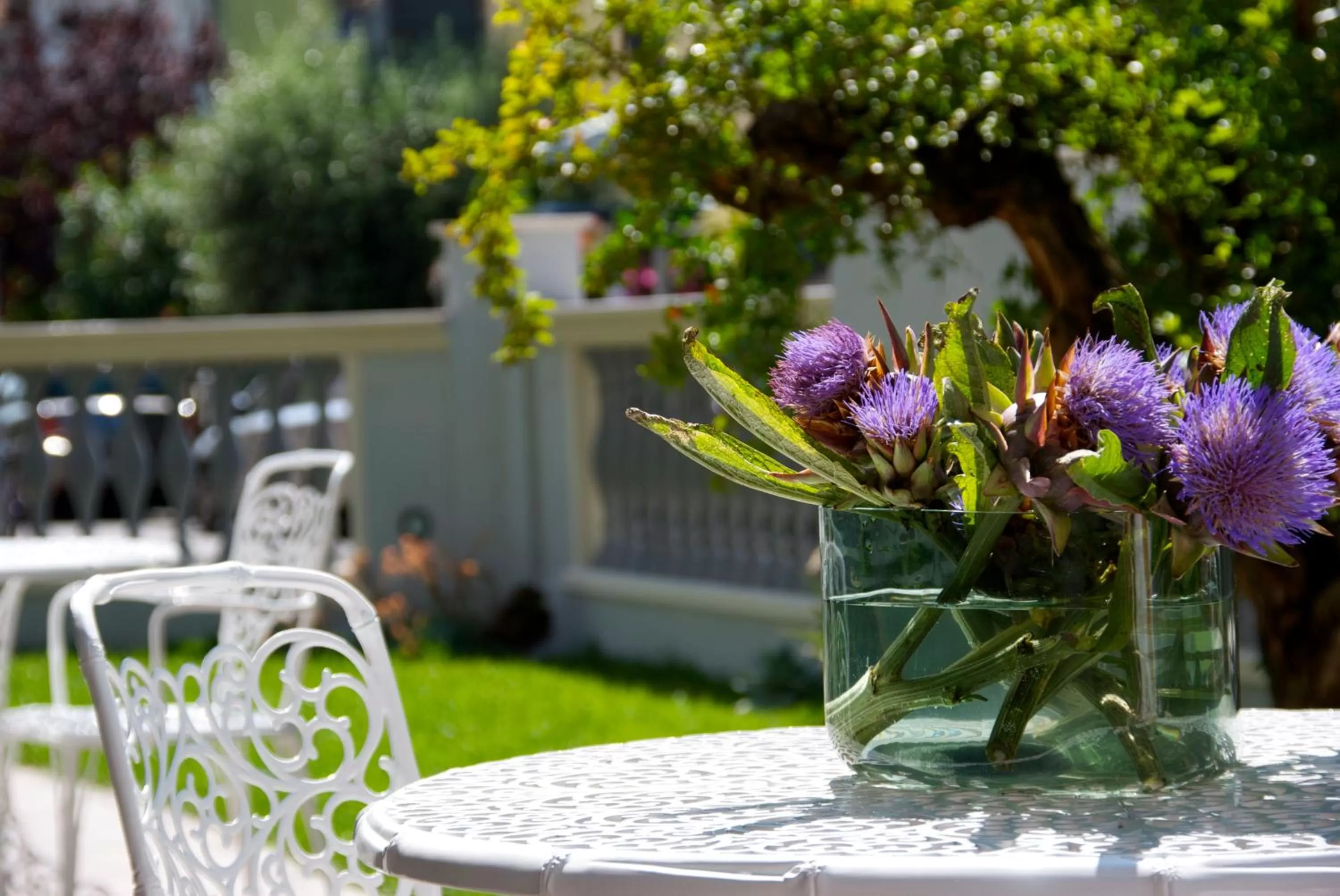 Garden in Sovrana Hotel & SPA