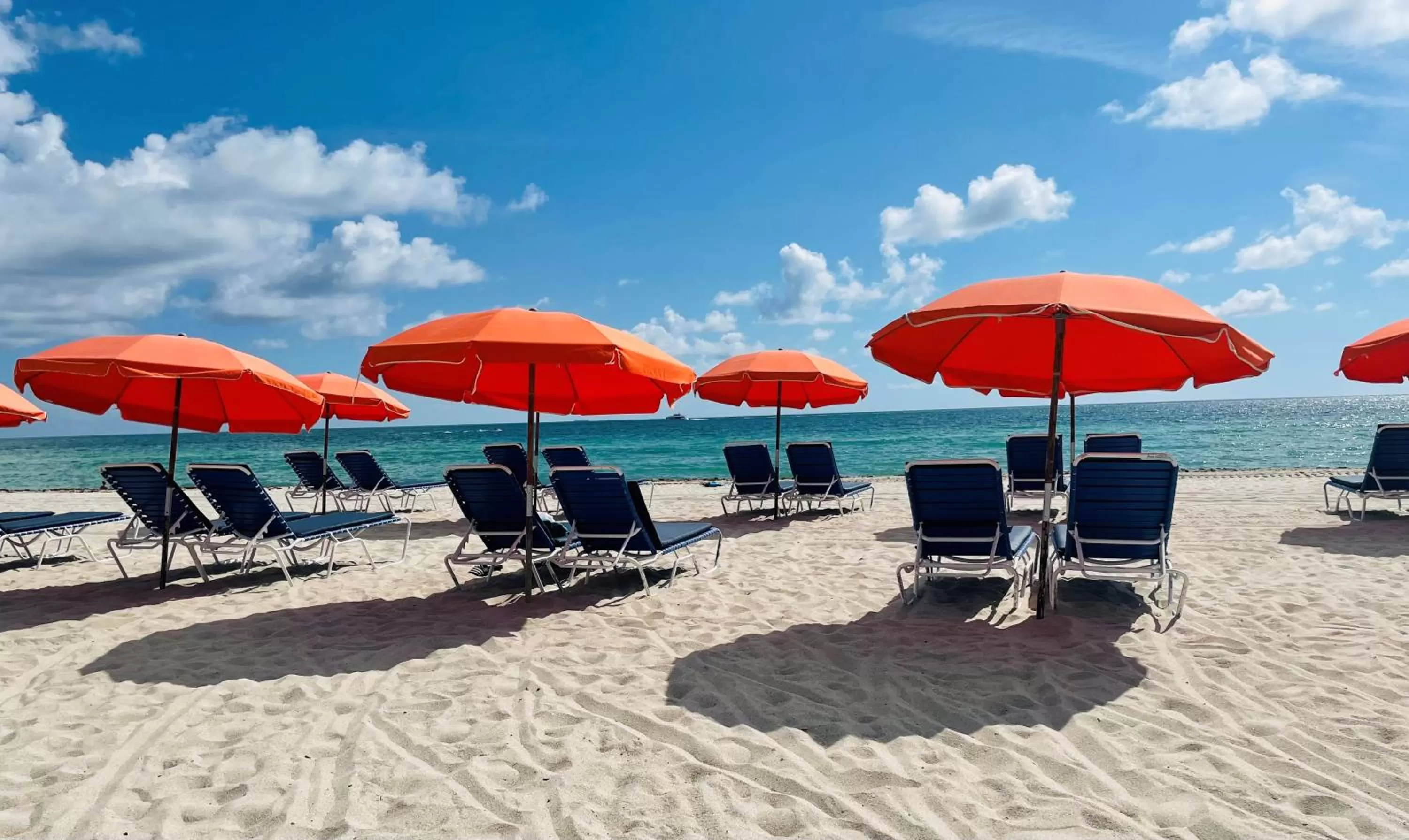 Beach in Circa 39 Miami Beach