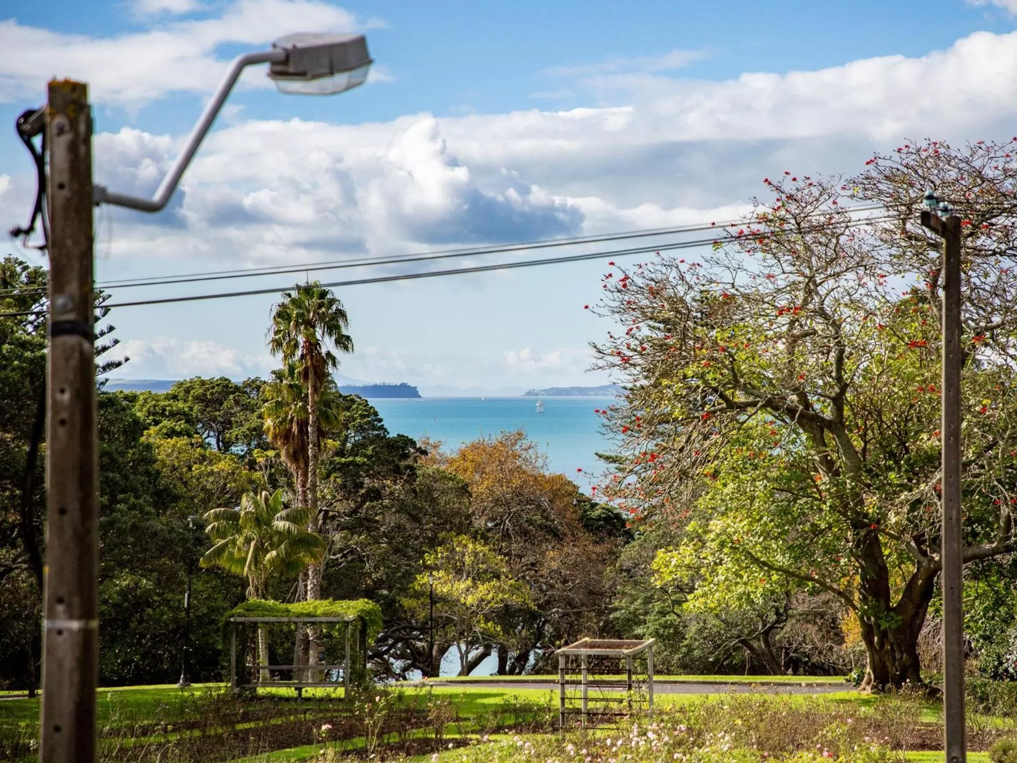 Neighbourhood in Auckland Rose Park Hotel