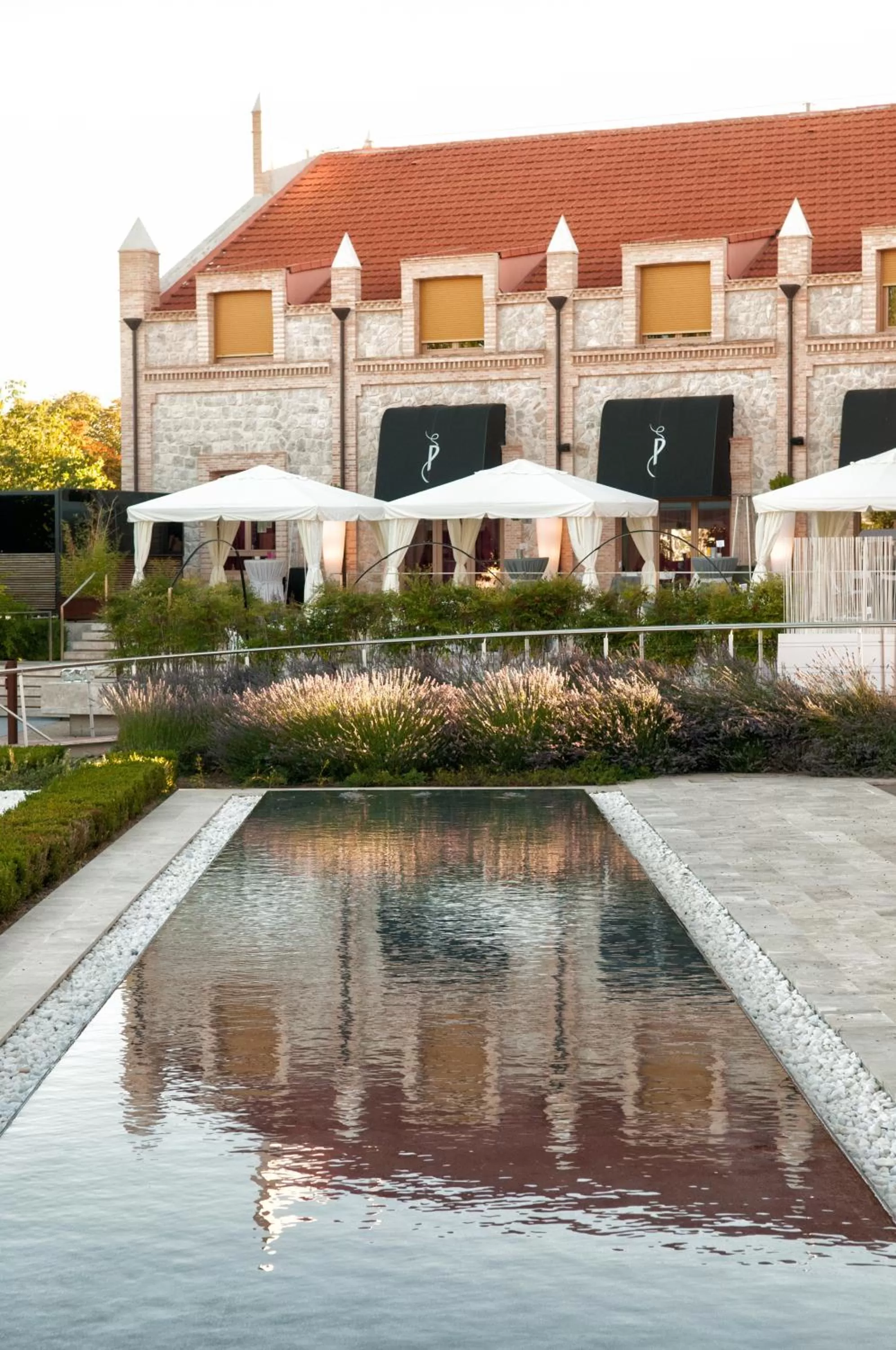 Garden in Hotel AF Pesquera