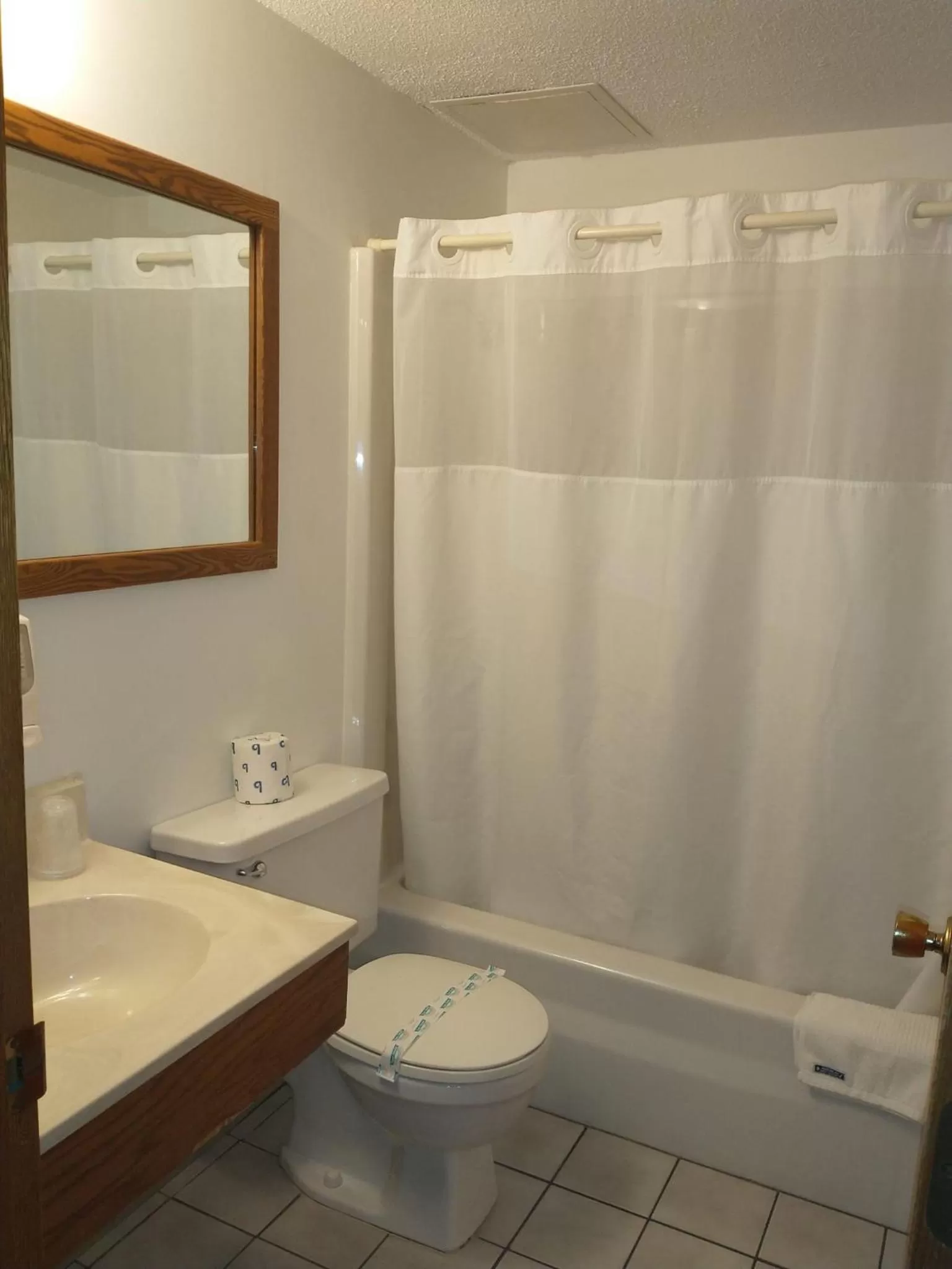 Bathroom in Sauk River Inn & Suites, a Travelodge by Wyndham