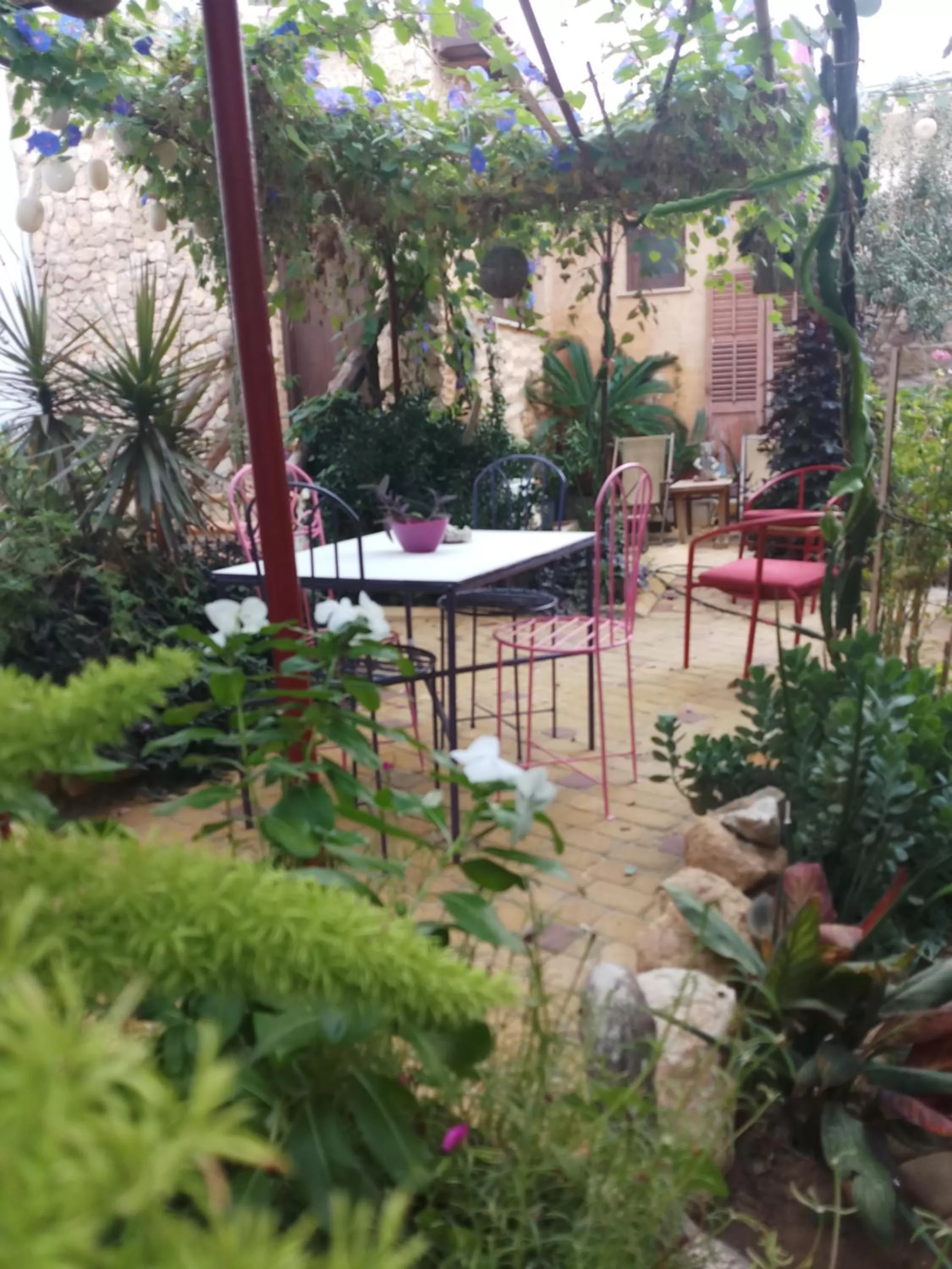 Garden, Swimming Pool in Mystery Garden Guest House