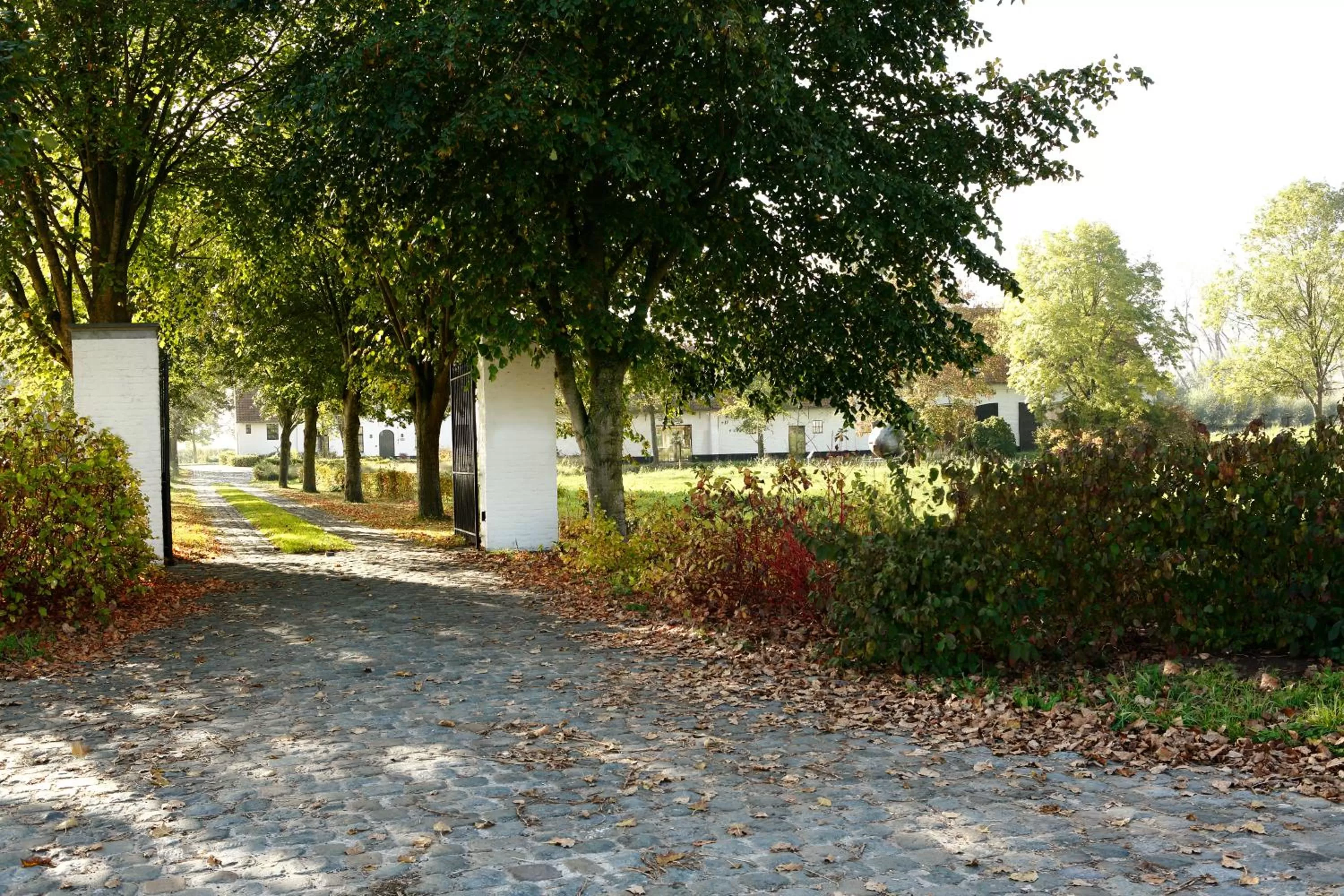 Garden in De Grote Wateringe