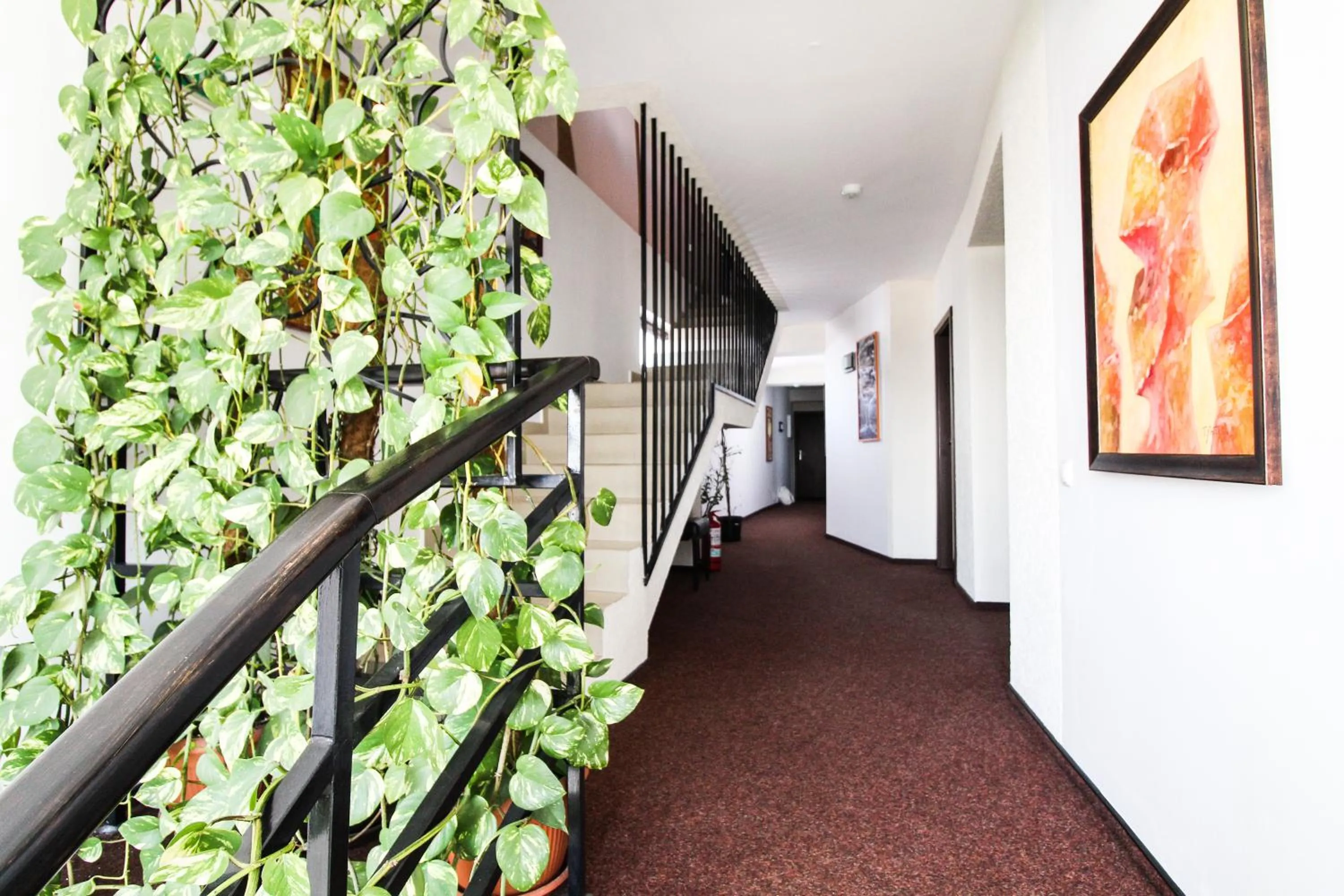 Property building in Hotel Razvan