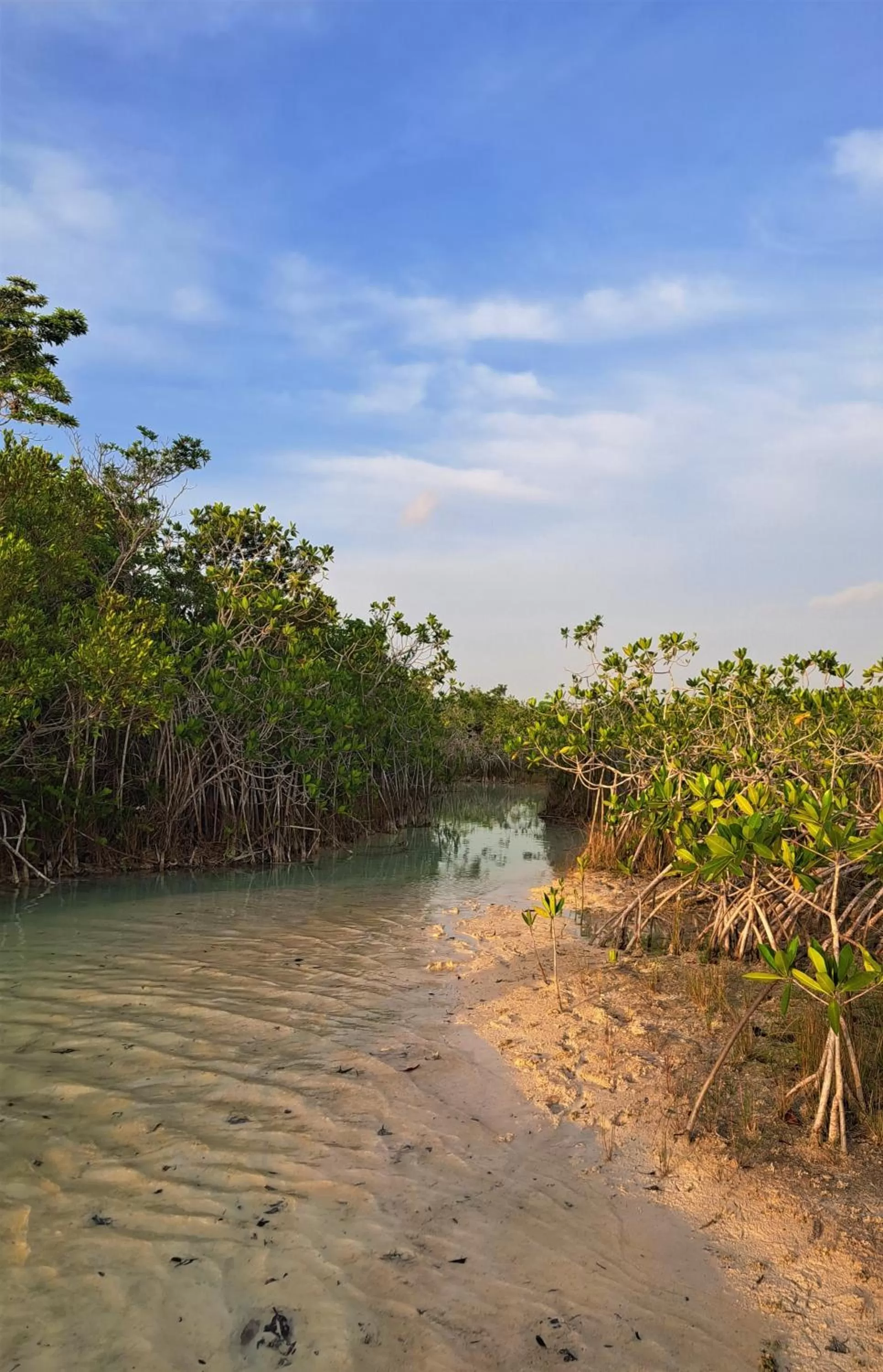 Canoeing in Cayuco Maya