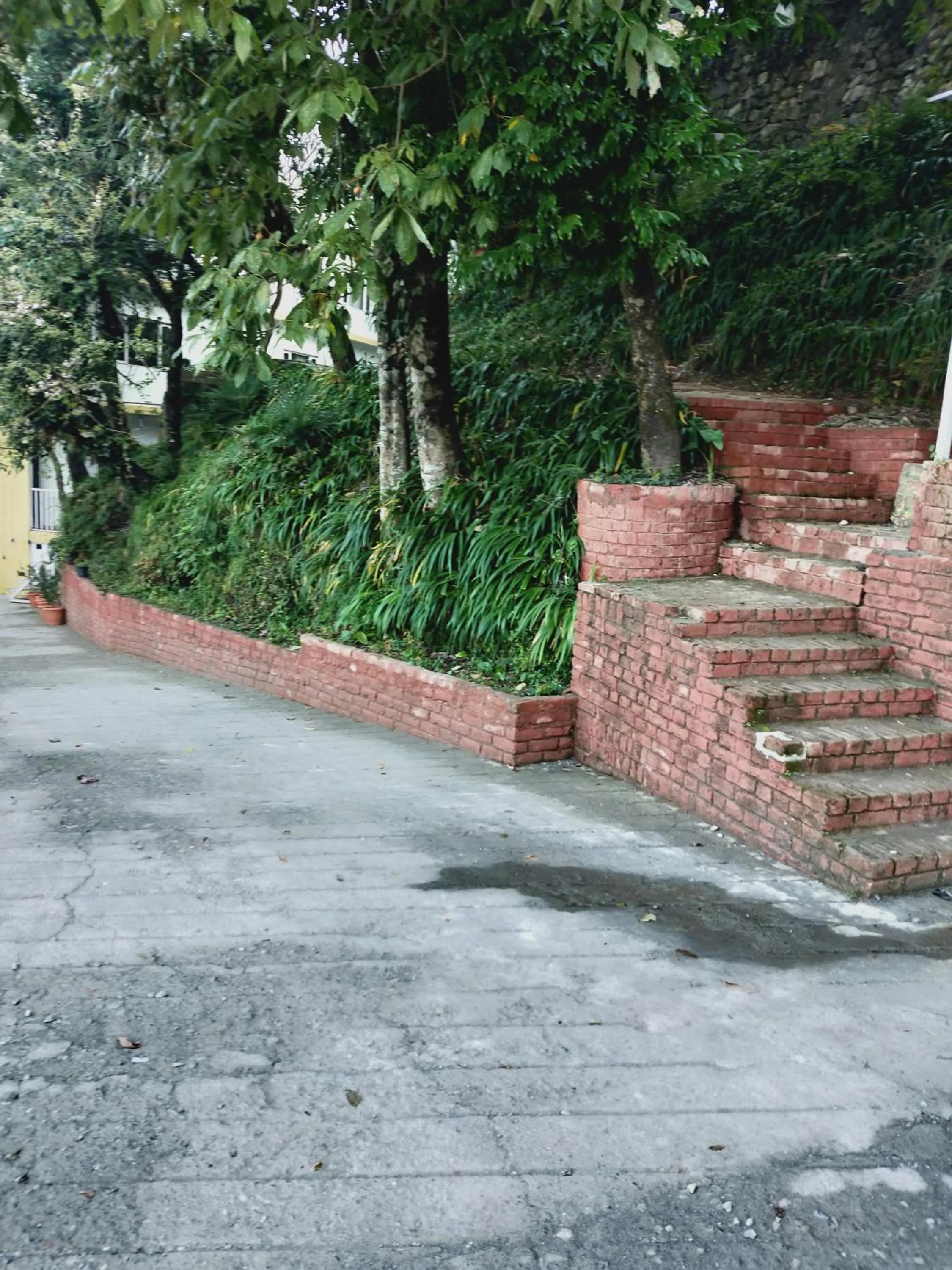 Property building in The Mountain Quail