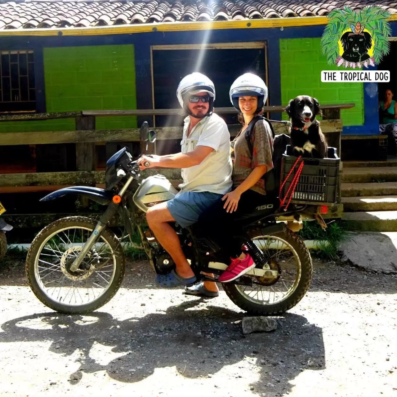 Pets, Biking in Casa finca típica the lake hotel