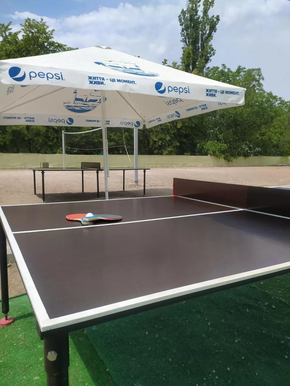 Activities, Table Tennis in Zelenyi Kampus