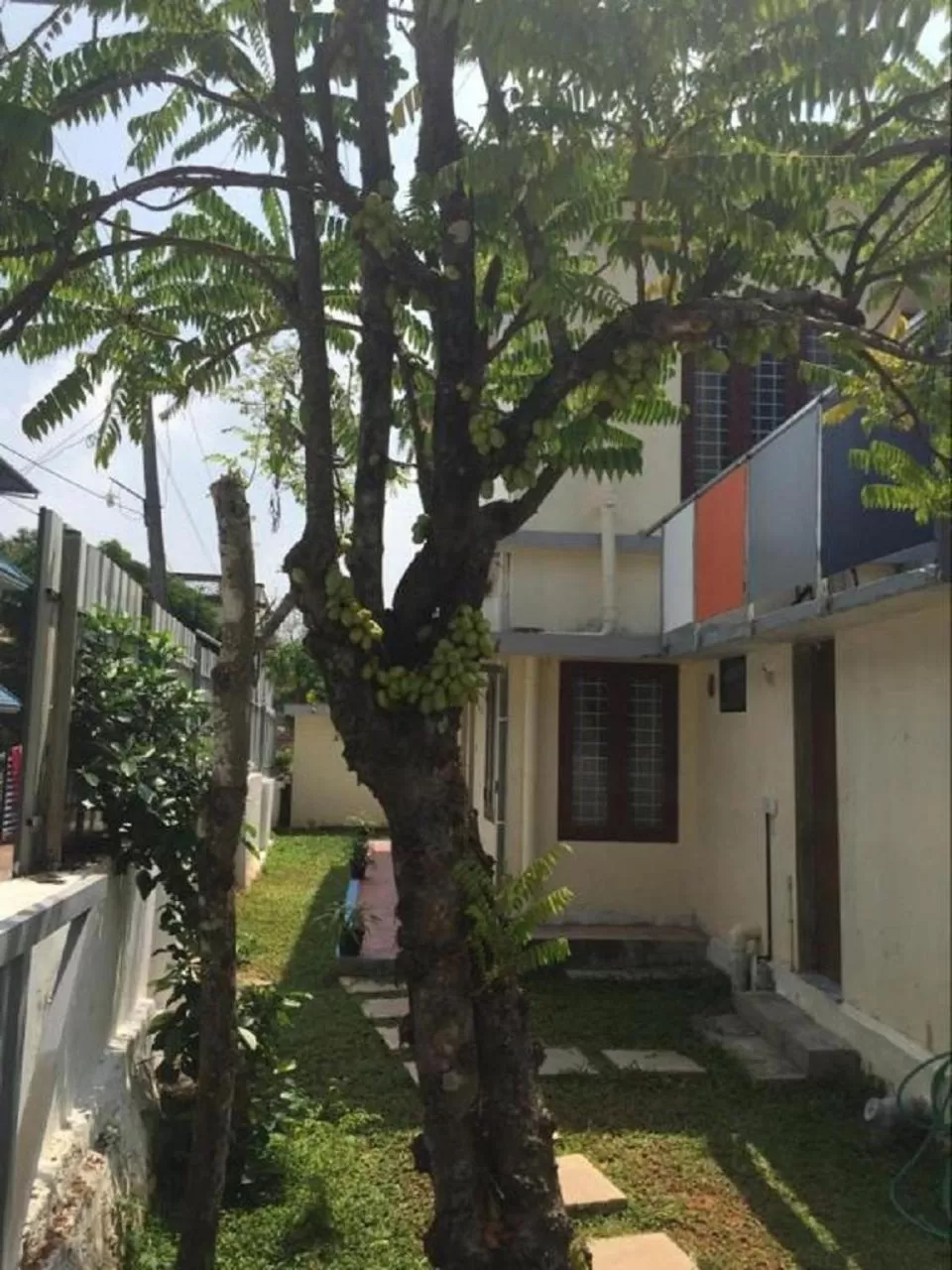 Property Building in Nature Villa Kochi