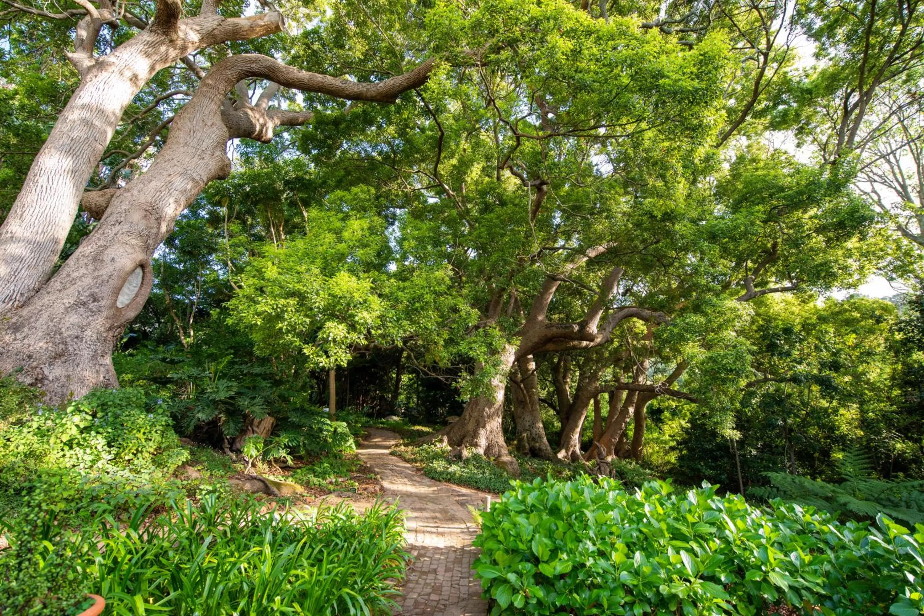 Natural landscape in The Cellars-Hohenort